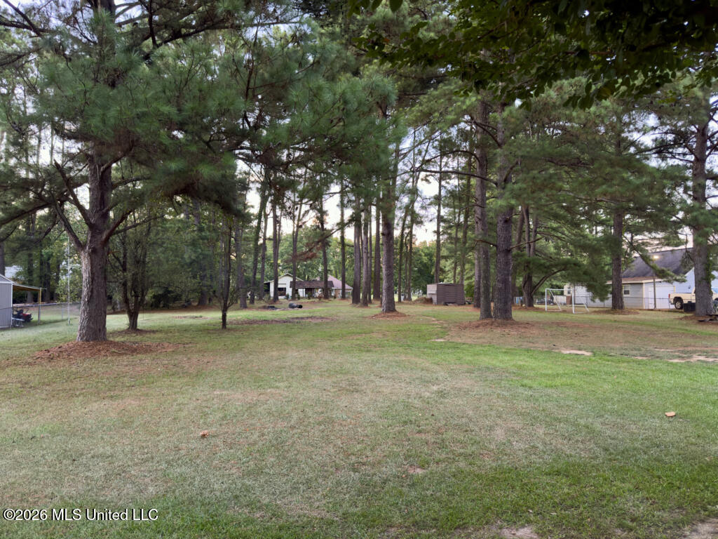113 Shadi Drive Property Photo 27