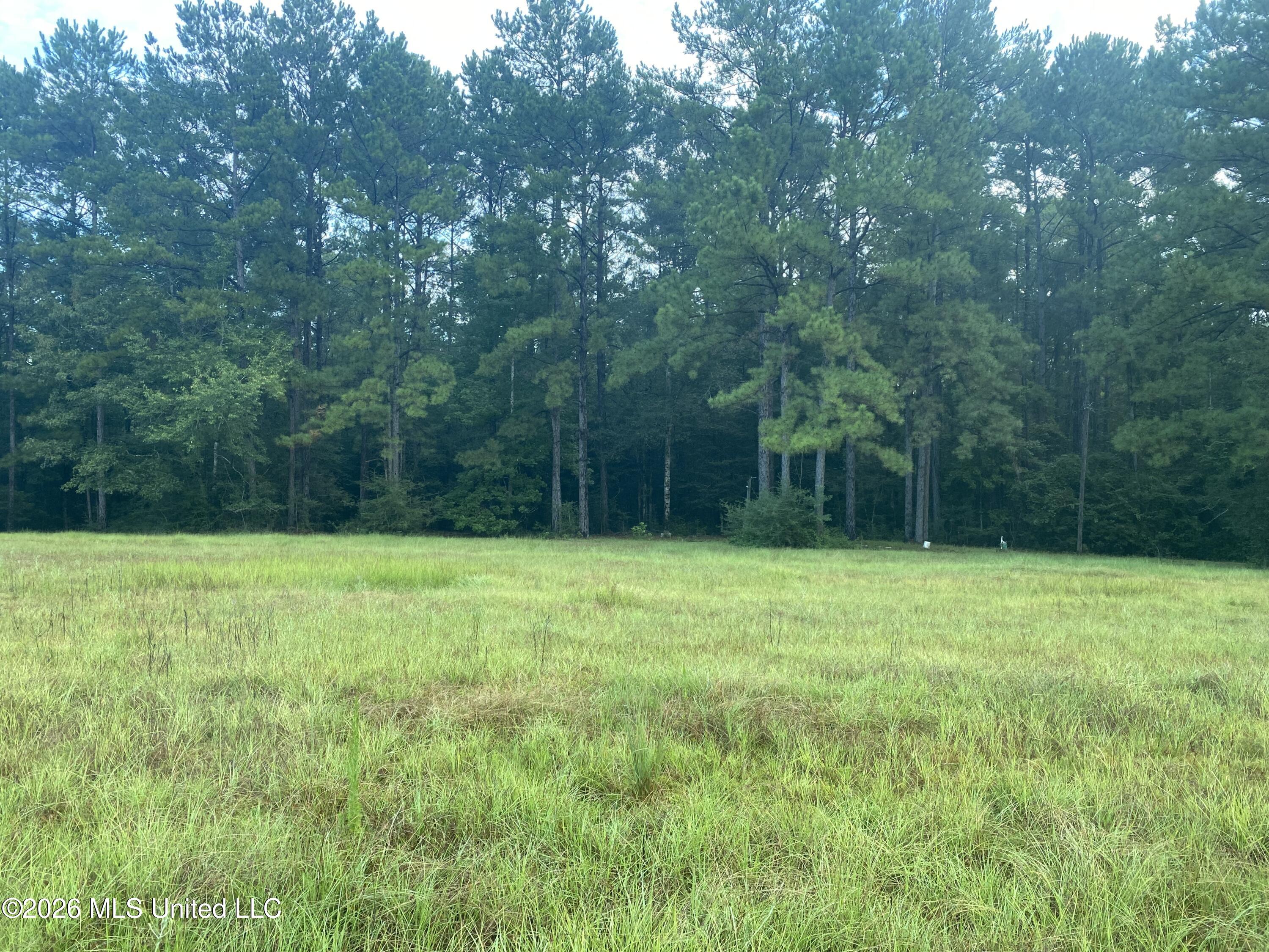 4 E Bond Road Property Photo 2
