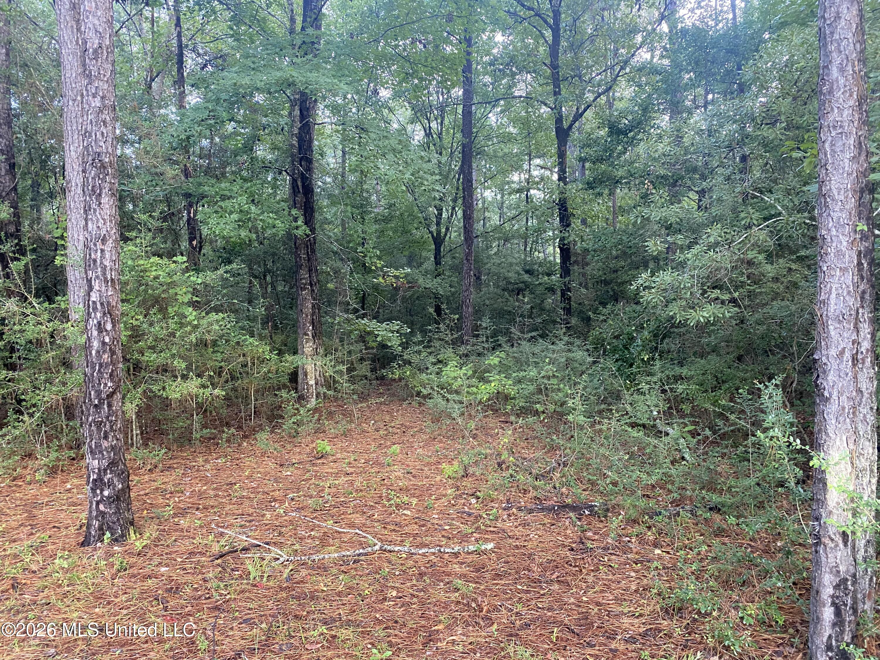 4 E Bond Road Property Photo 4
