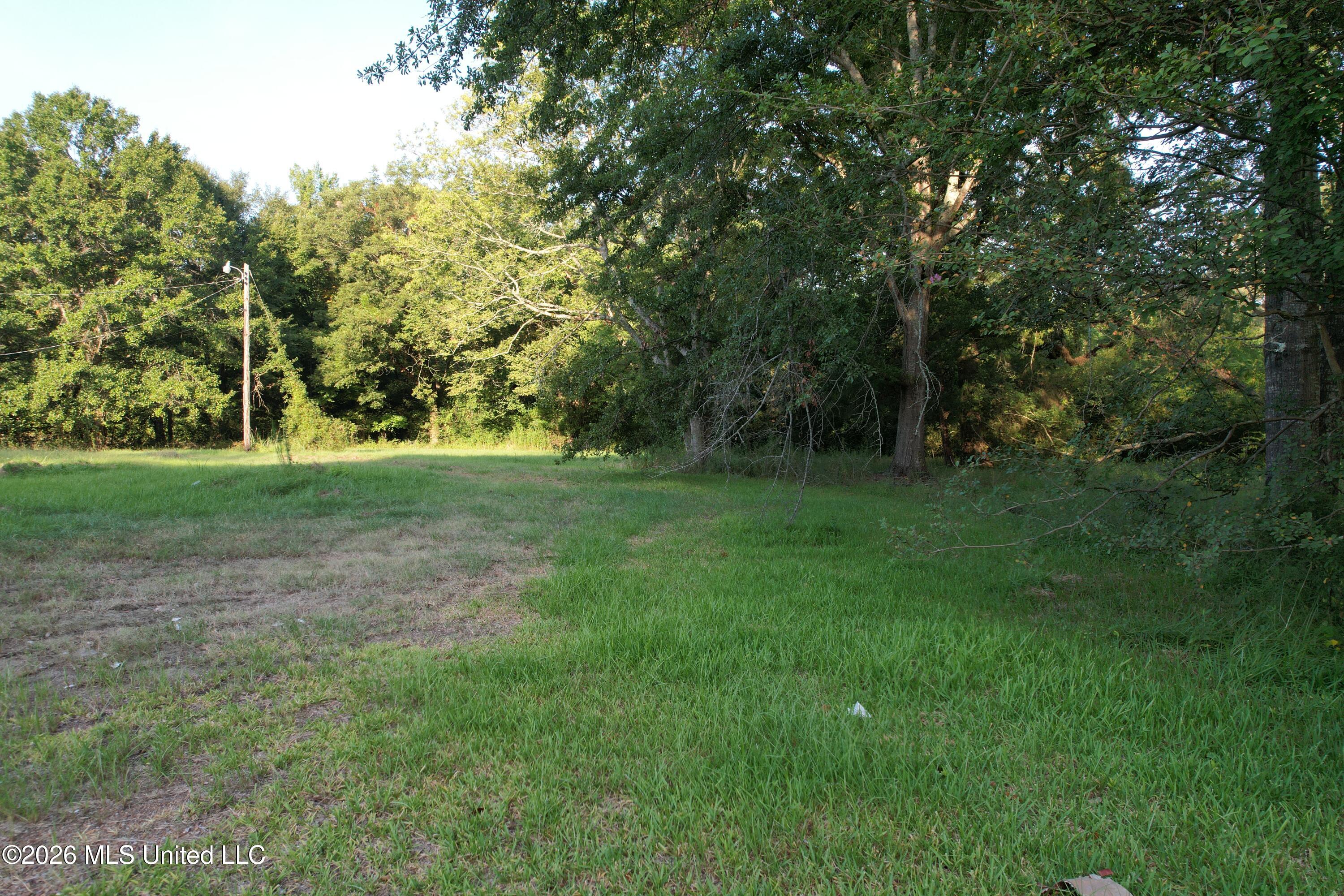 3591 U.s. 51 Property Photo 11