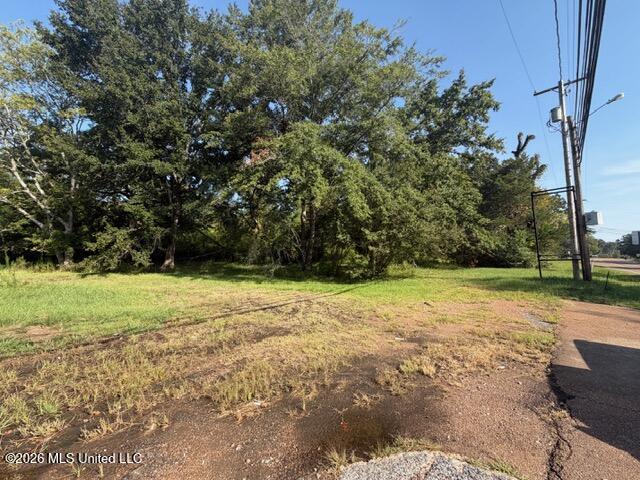 3591 U.s. 51 Property Photo 12