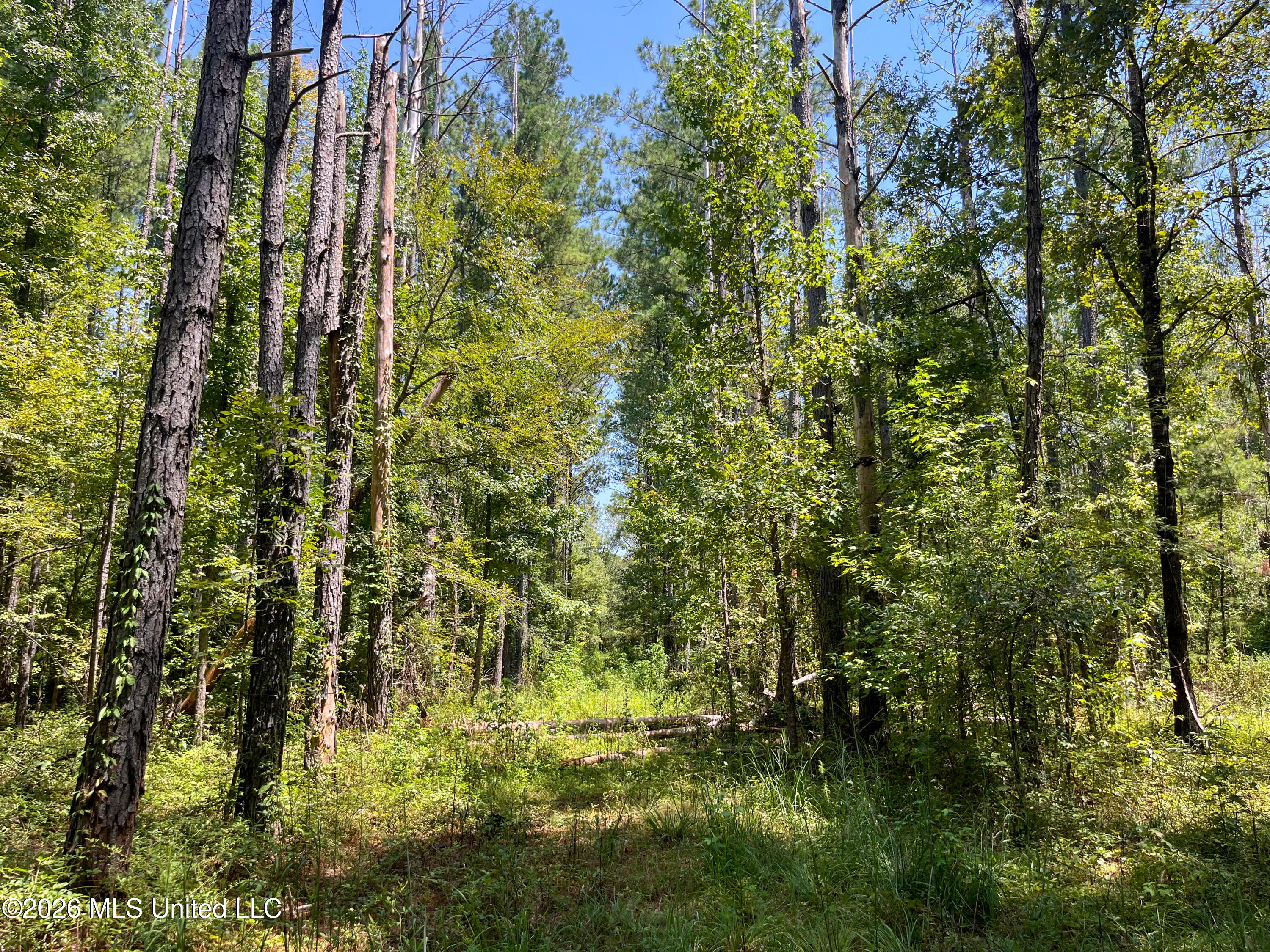 Old Highway 27 Road 2 Property Photo 4