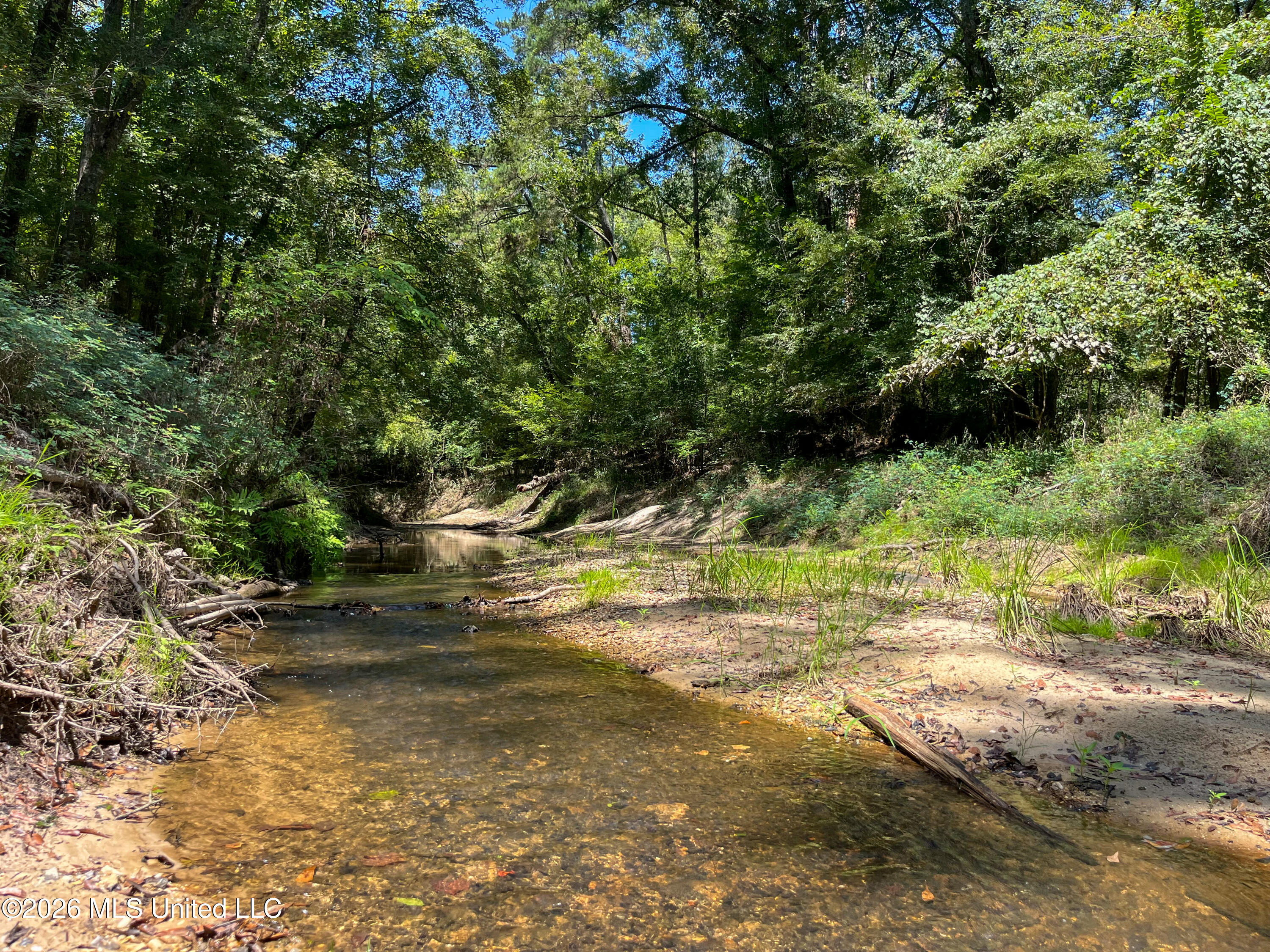 Old Highway 27 Road 2 Property Photo 5