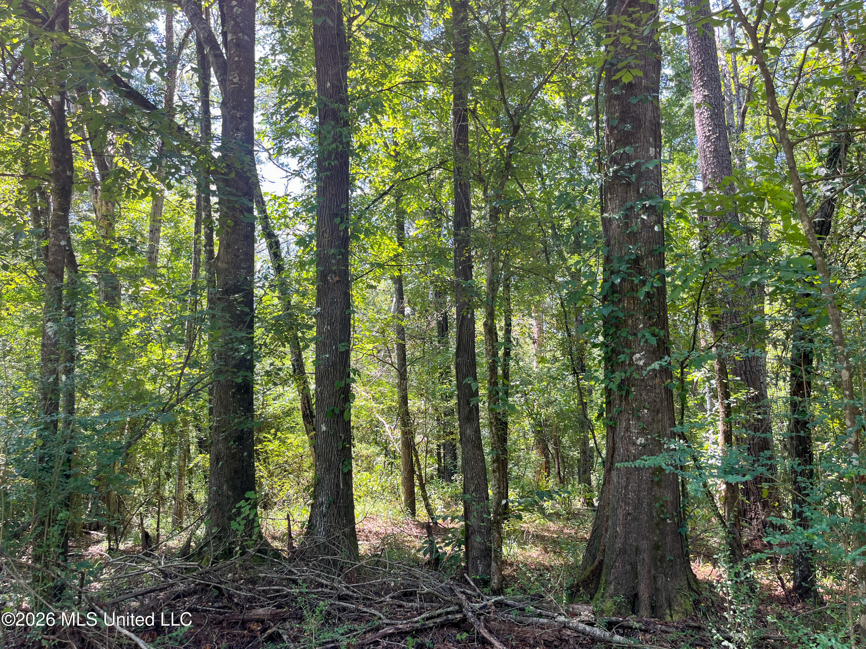 Old Highway 27 Road 2 Property Photo 7