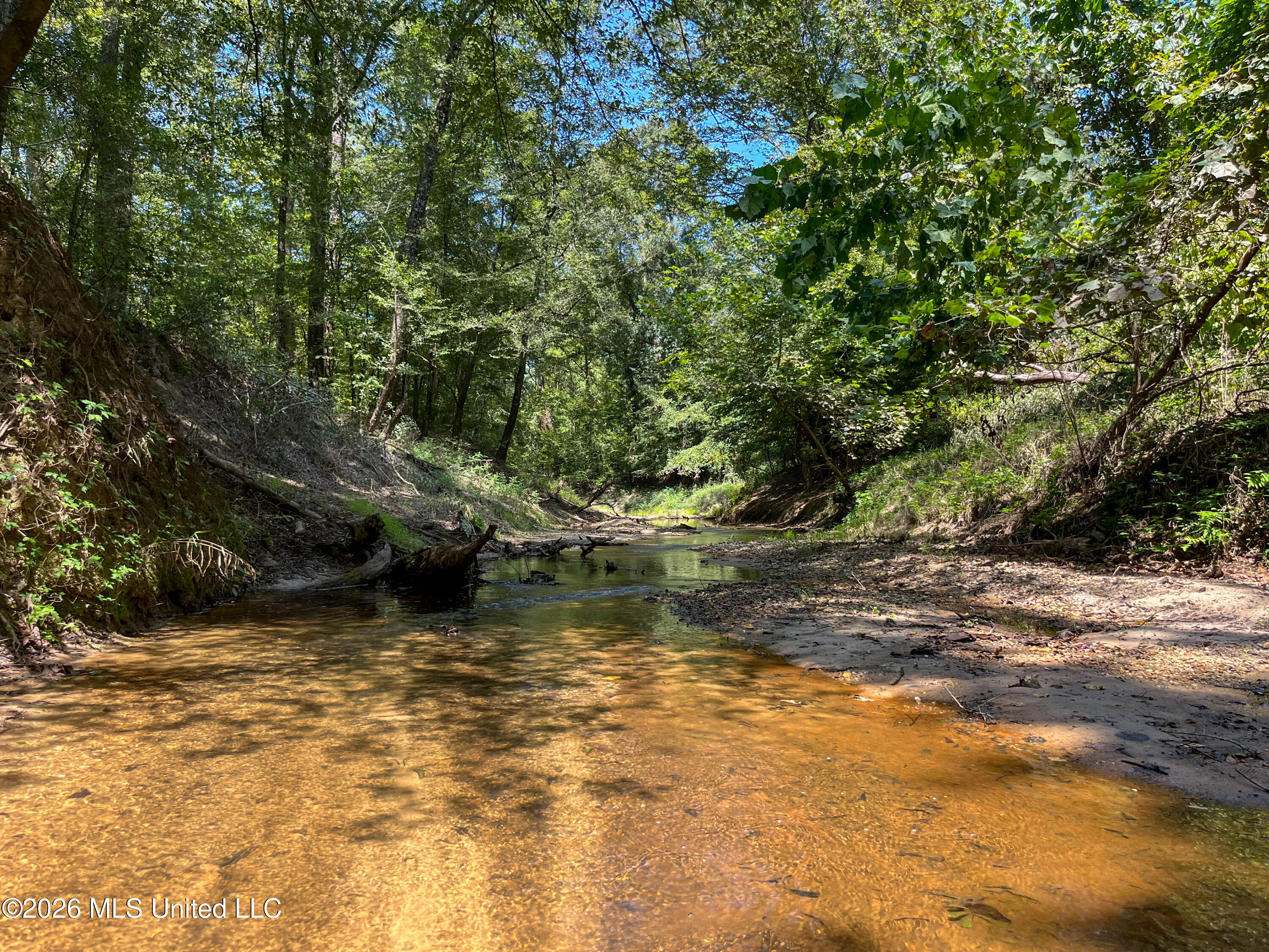 Old Highway 27 Road 2 Property Photo 14