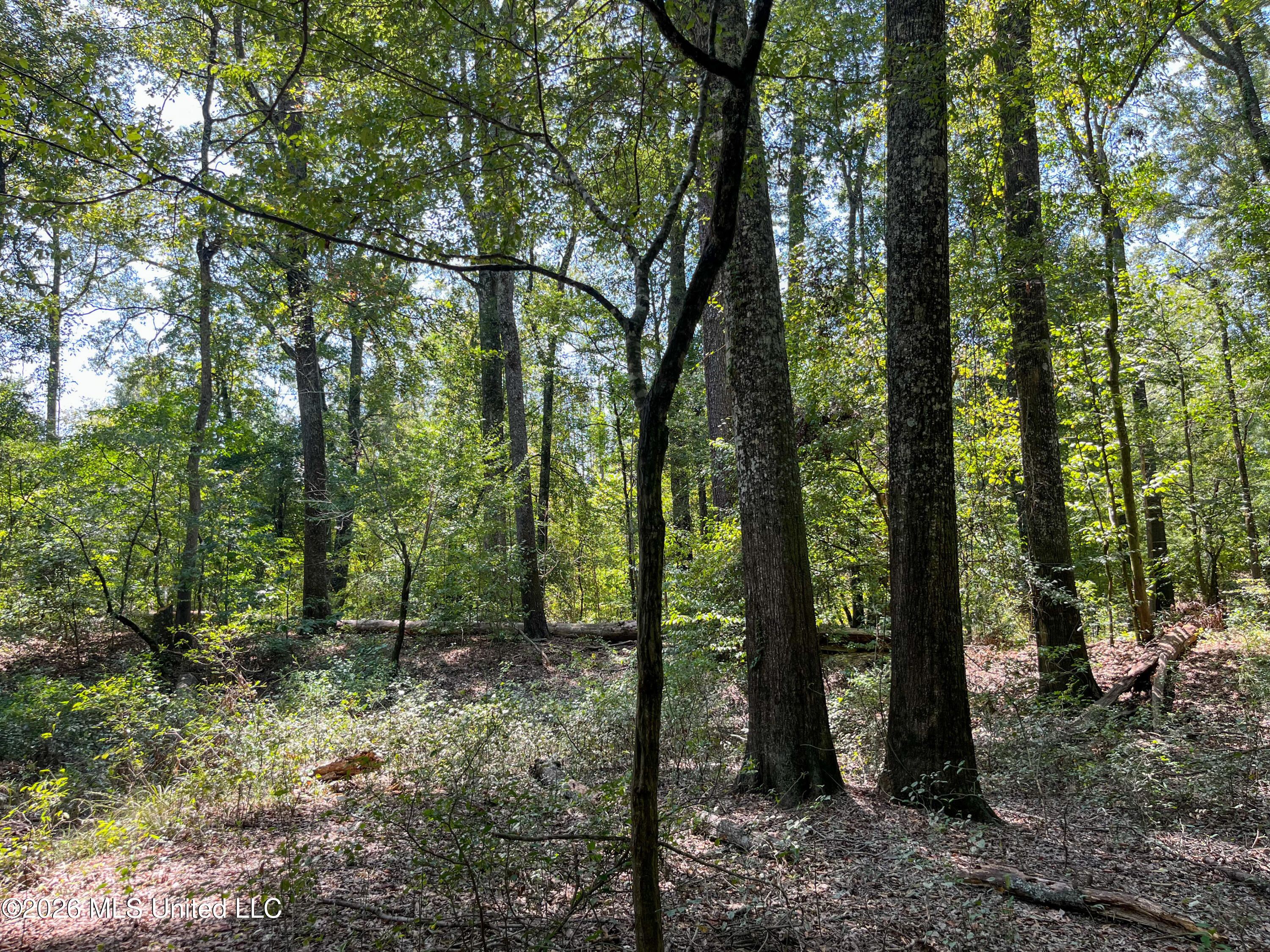 Old Highway 27 Road 2 Property Photo 15