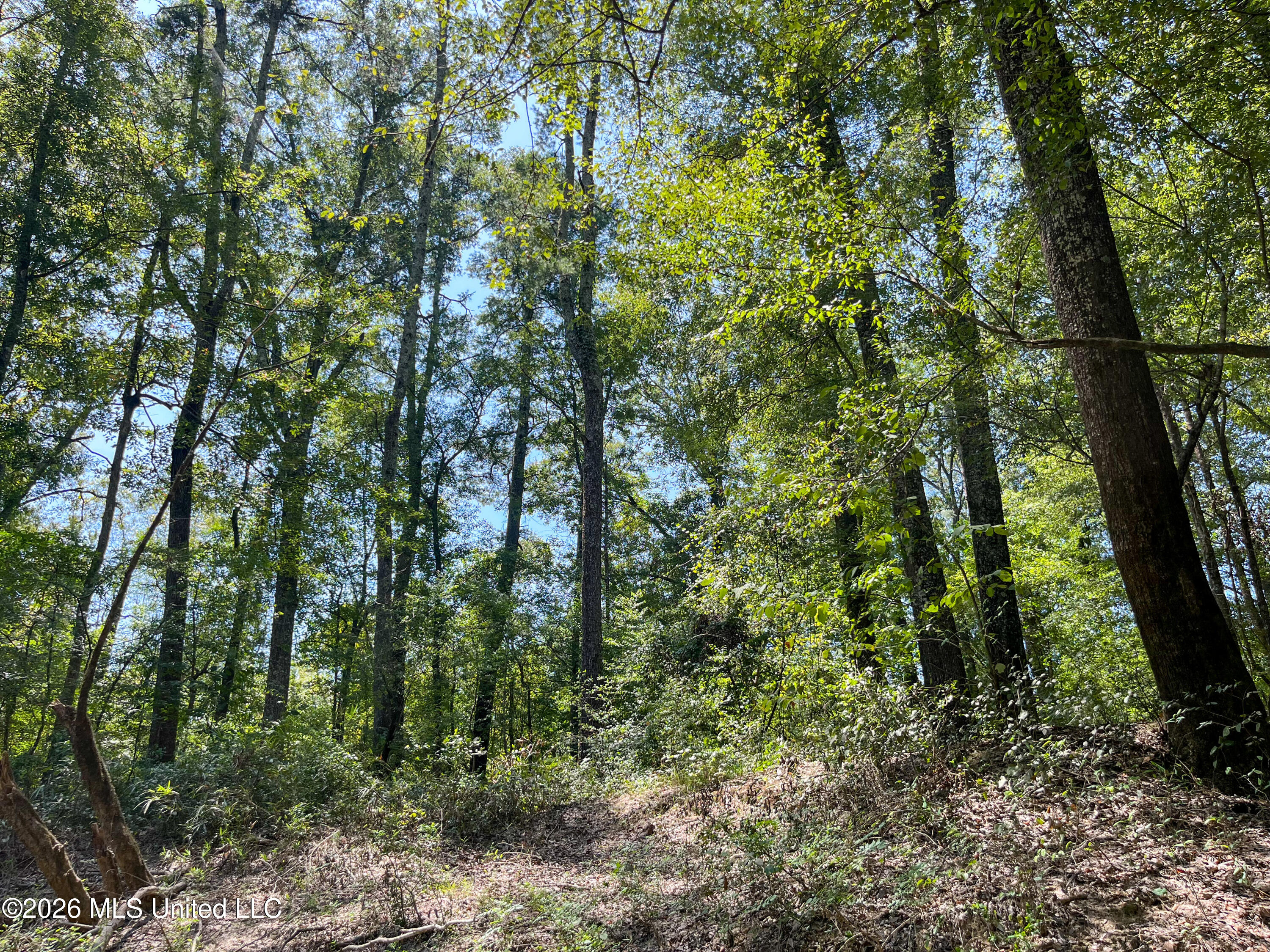 Old Highway 27 Road 2 Property Photo 22