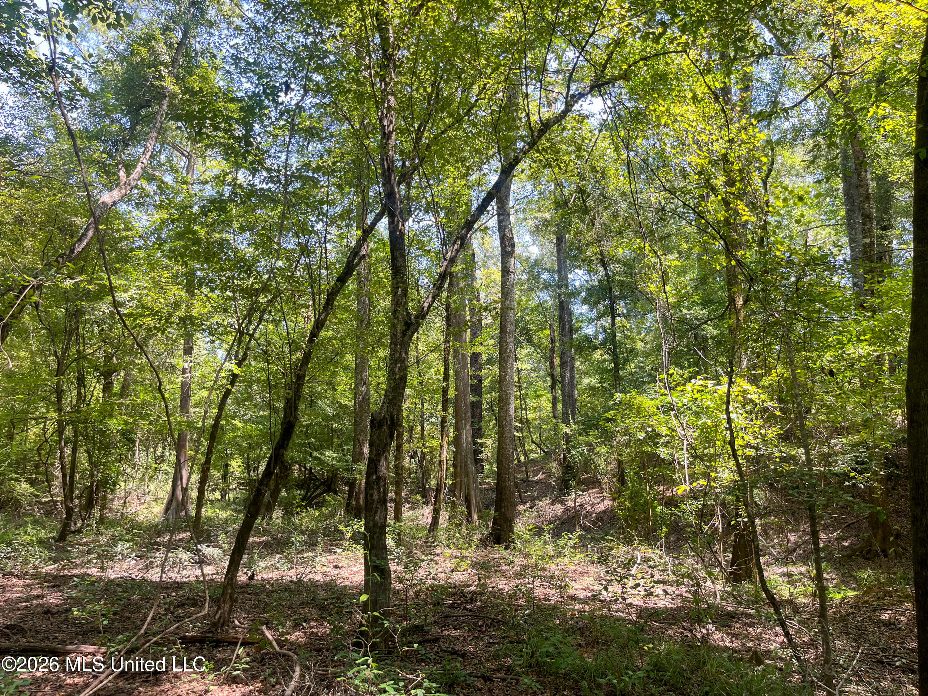 Old Highway 27 Road 2 Property Photo 25