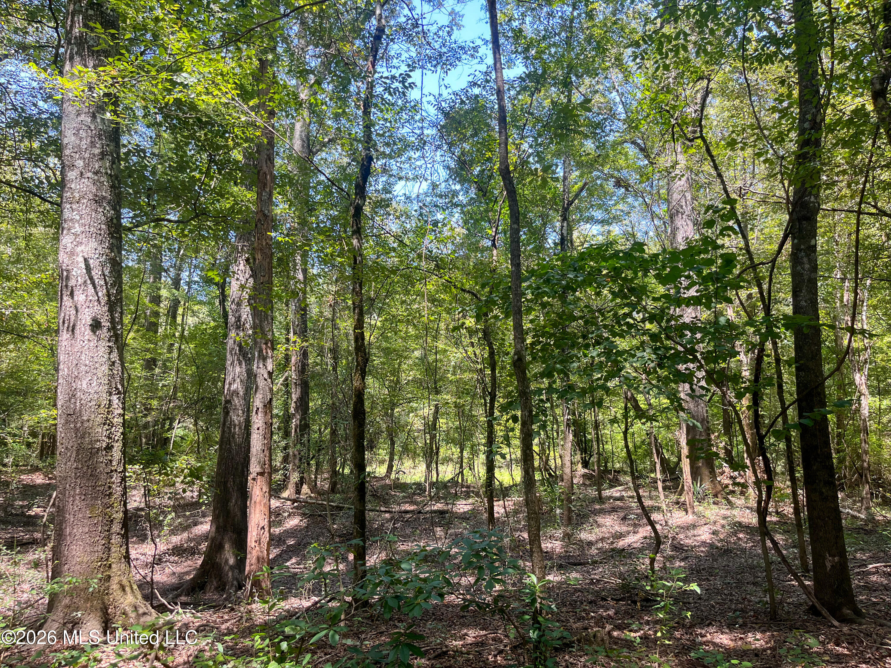 Old Highway 27 Road 2 Property Photo 26