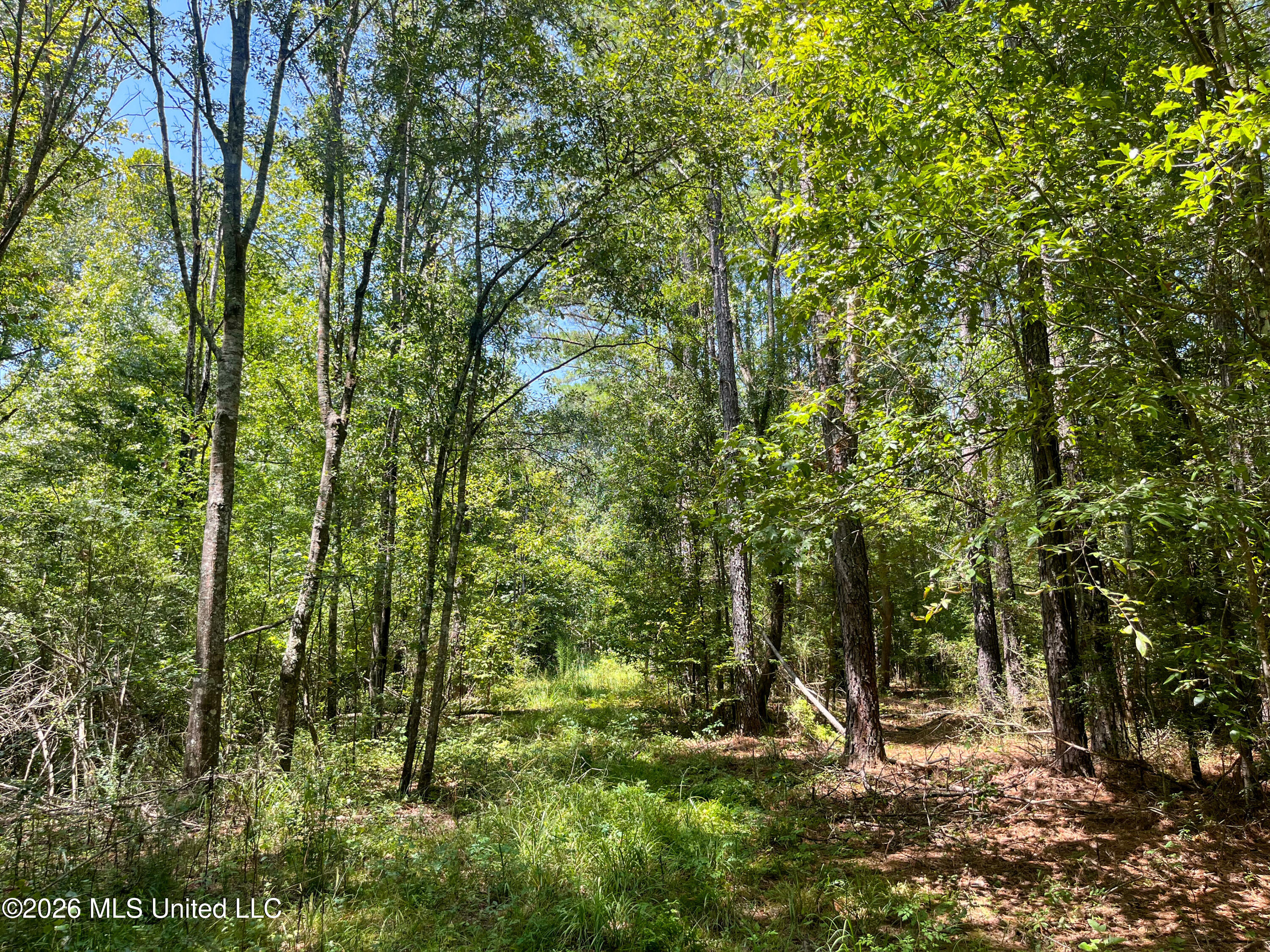 Old Highway 27 Road 2 Property Photo 29