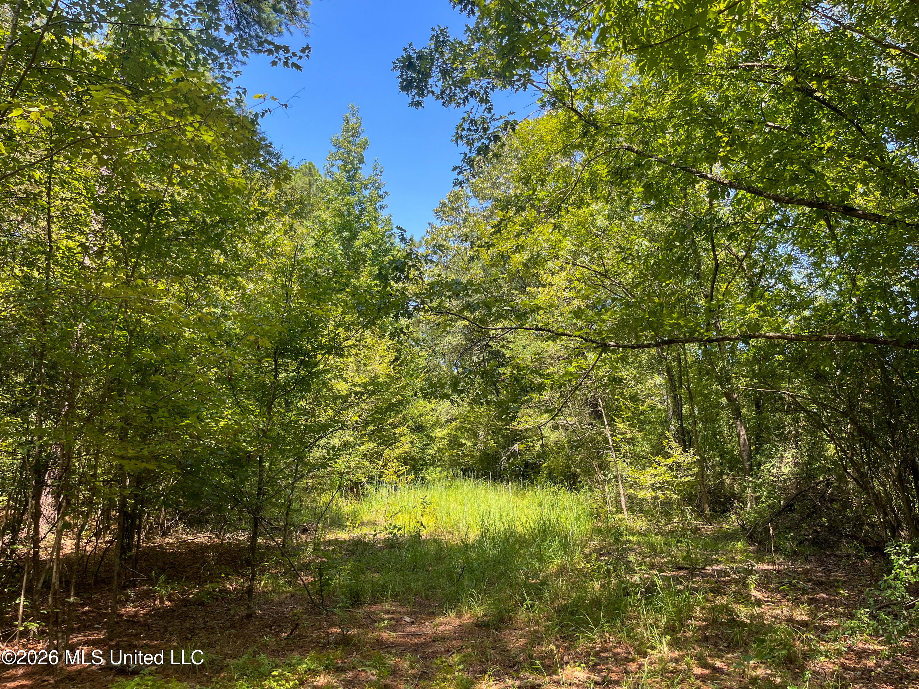 Old Highway 27 Road 2 Property Photo 31