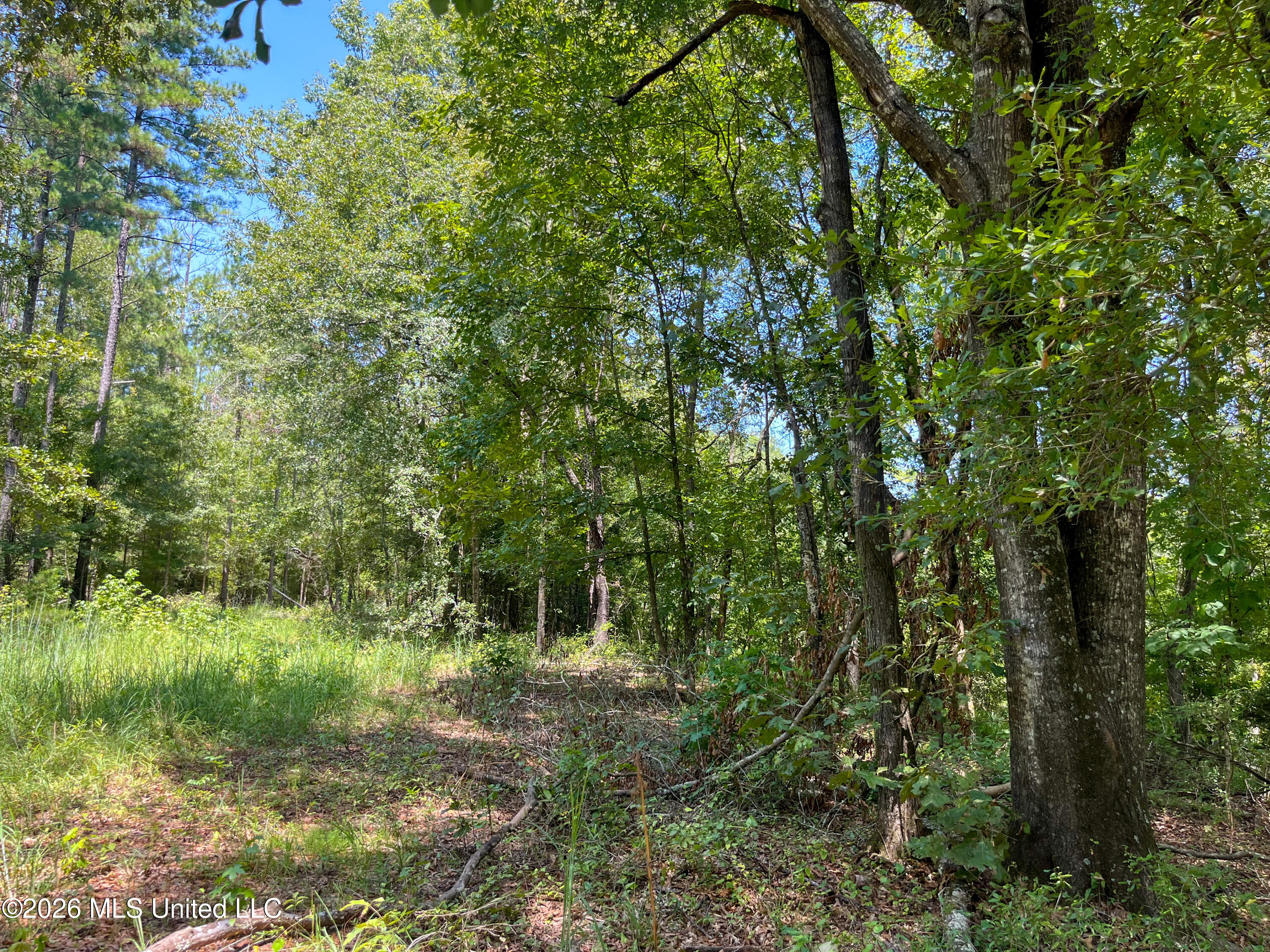 Old Highway 27 Road 2 Property Photo 36