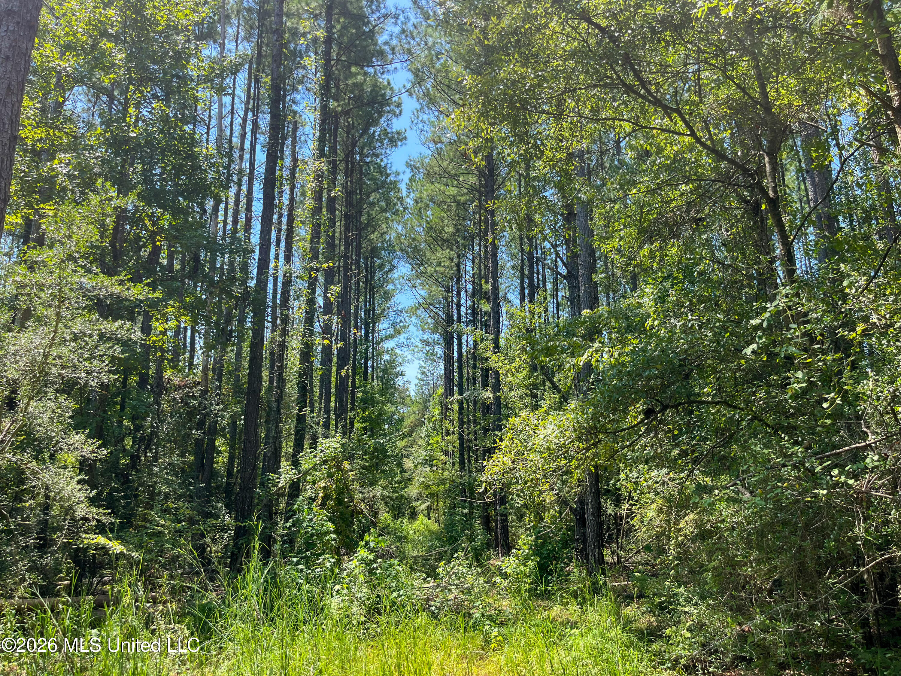 Old Highway 27 Road 2 Property Photo 37