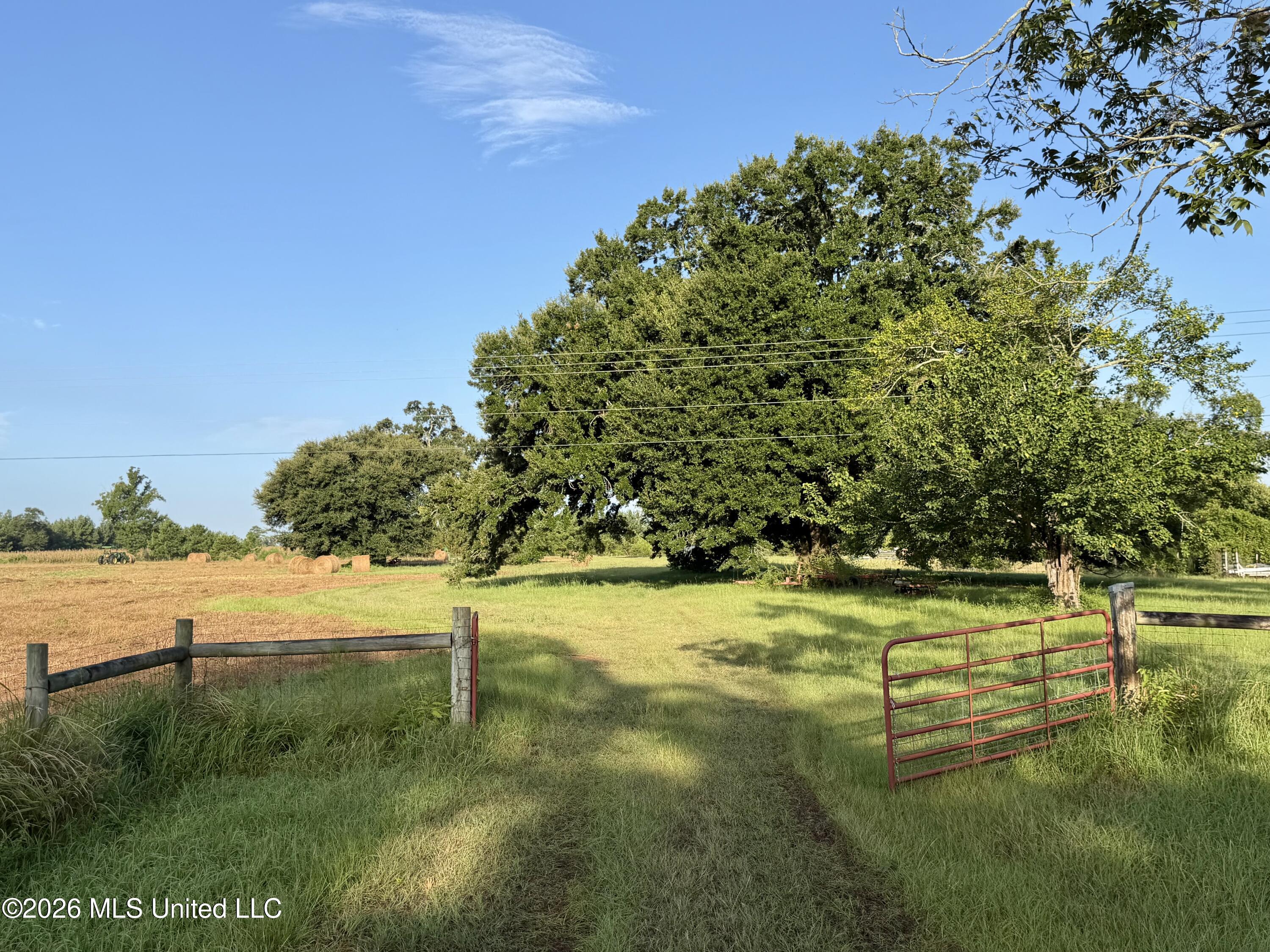 64.9 Acres Neely Avera Road Property Photo 1
