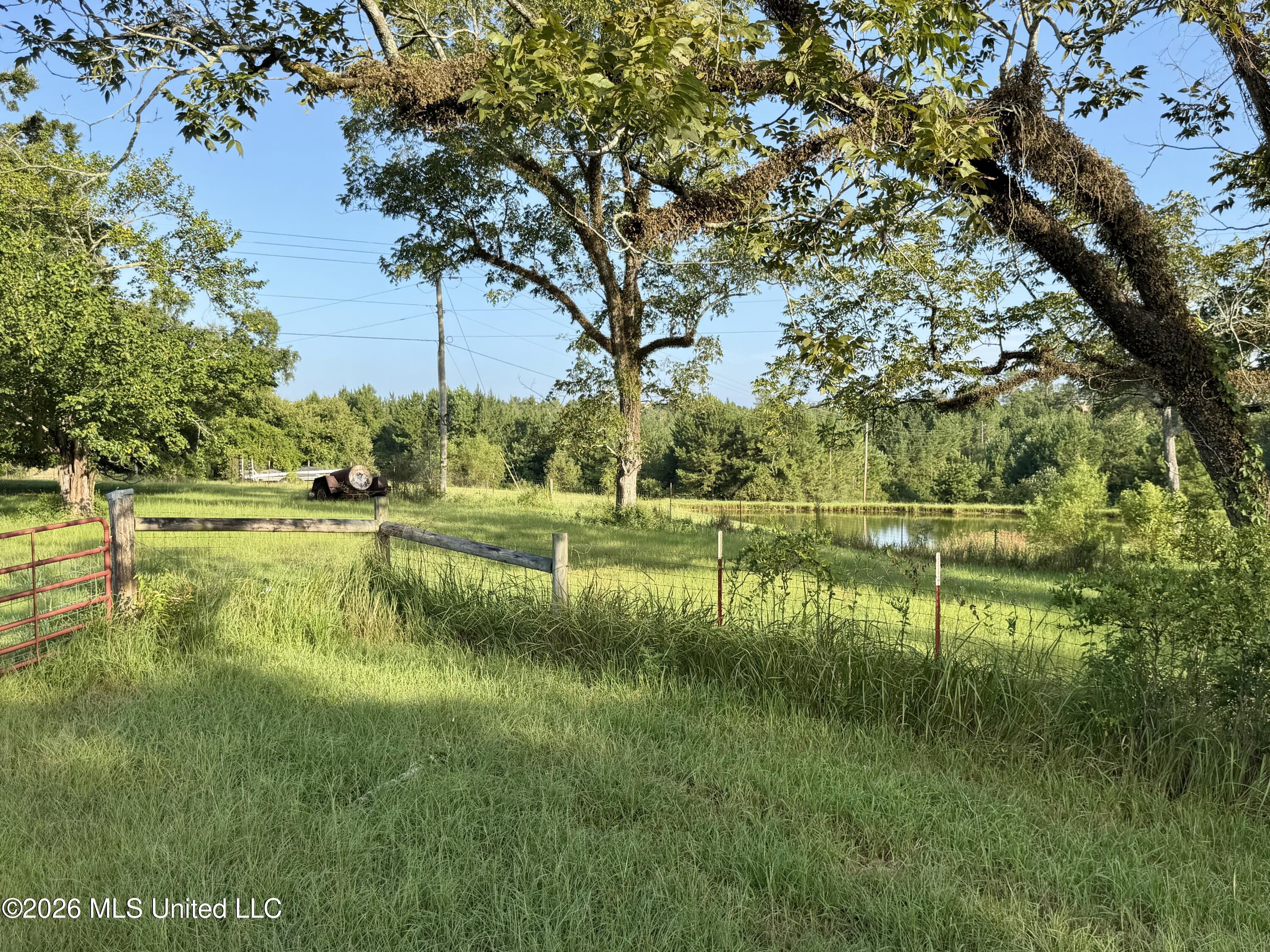 64.9 Acres Neely Avera Road Property Photo 3
