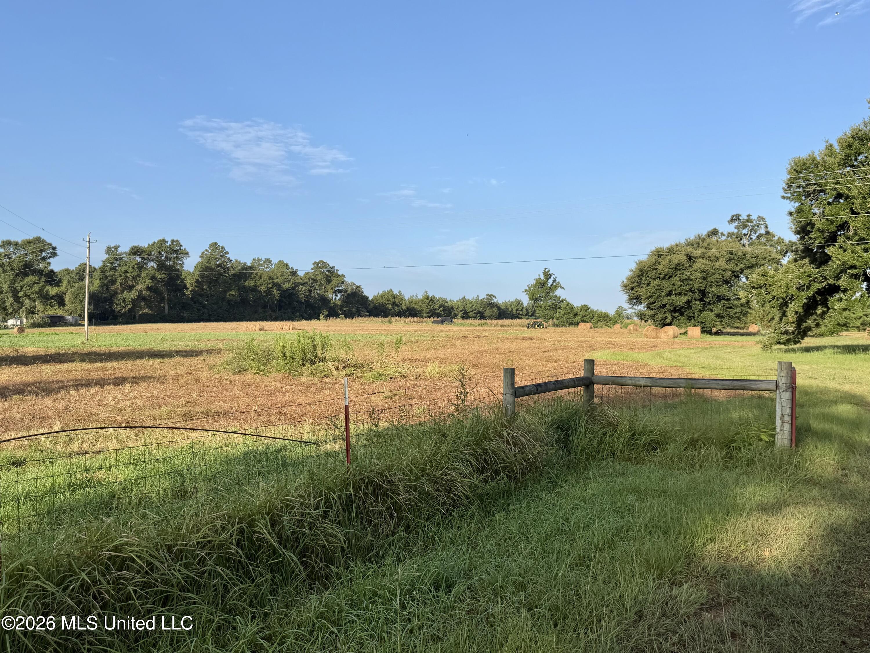 64.9 Acres Neely Avera Road Property Photo 4