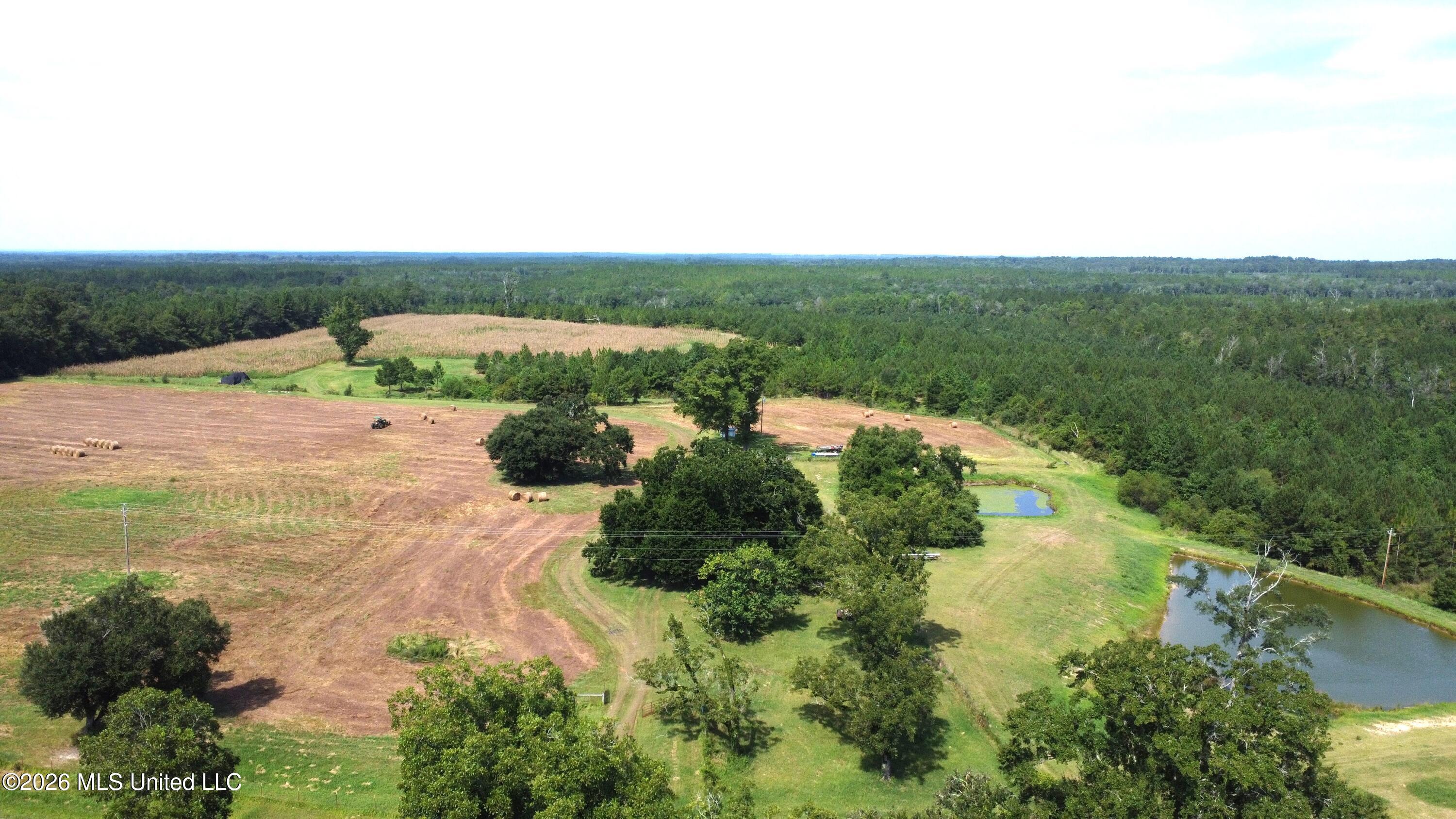 64.9 Acres Neely Avera Road Property Photo 5