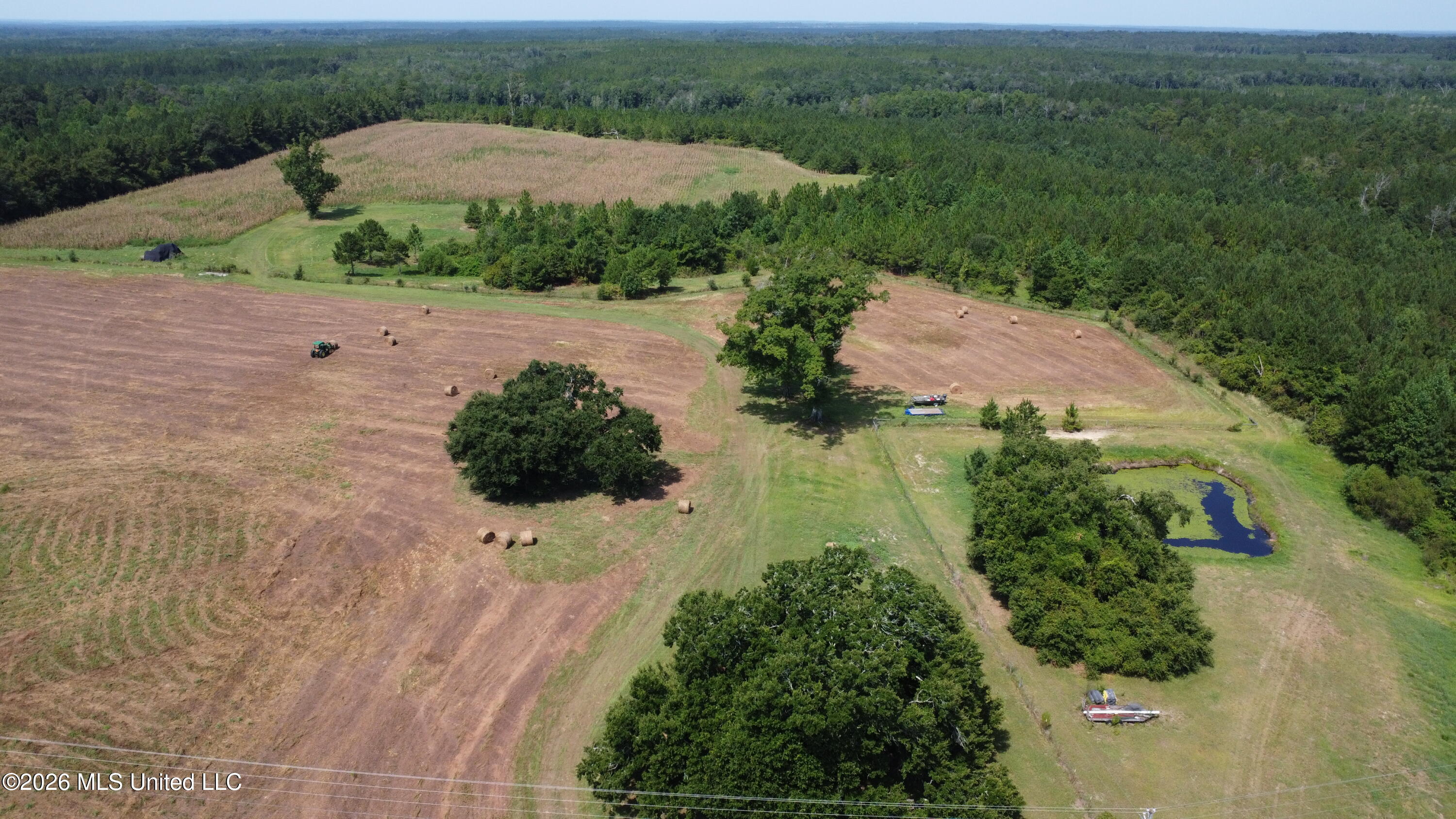 64.9 Acres Neely Avera Road Property Photo 6
