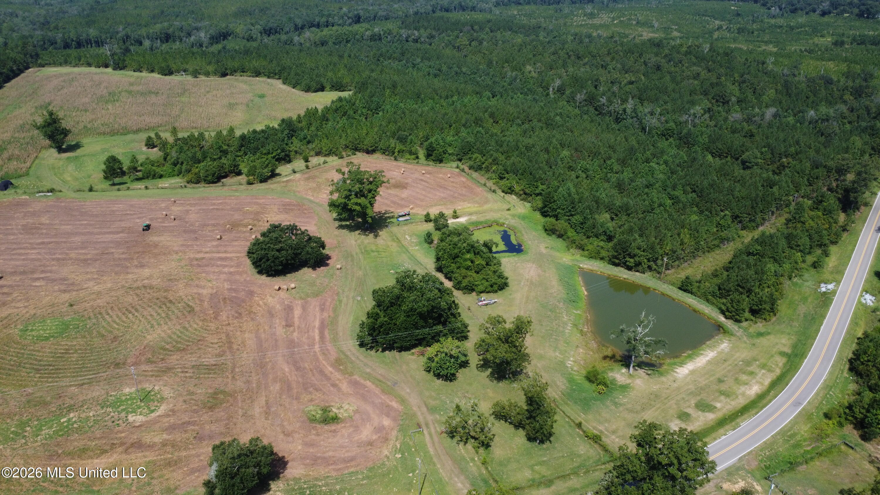 64.9 Acres Neely Avera Road Property Photo 7