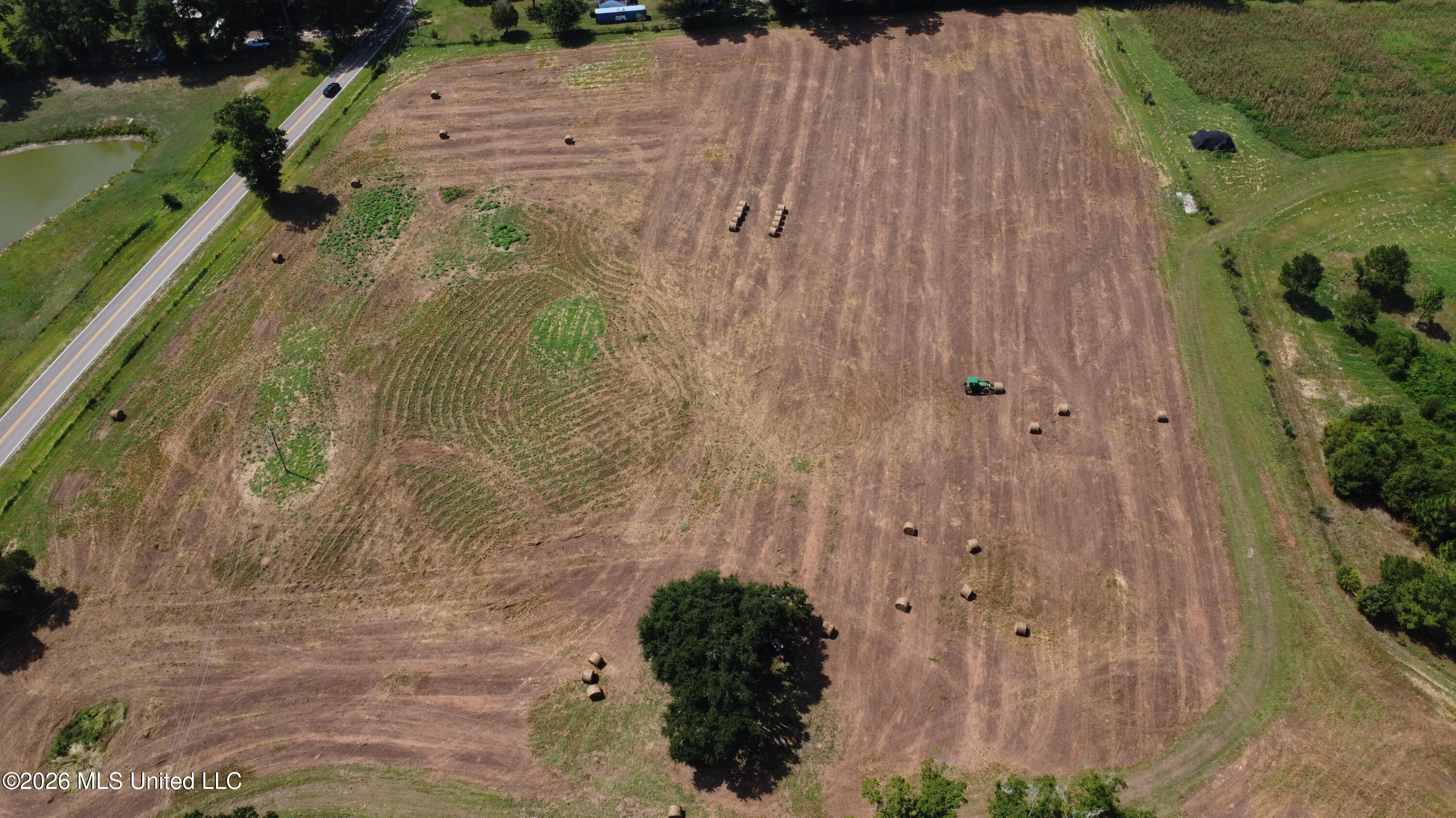 64.9 Acres Neely Avera Road Property Photo 8