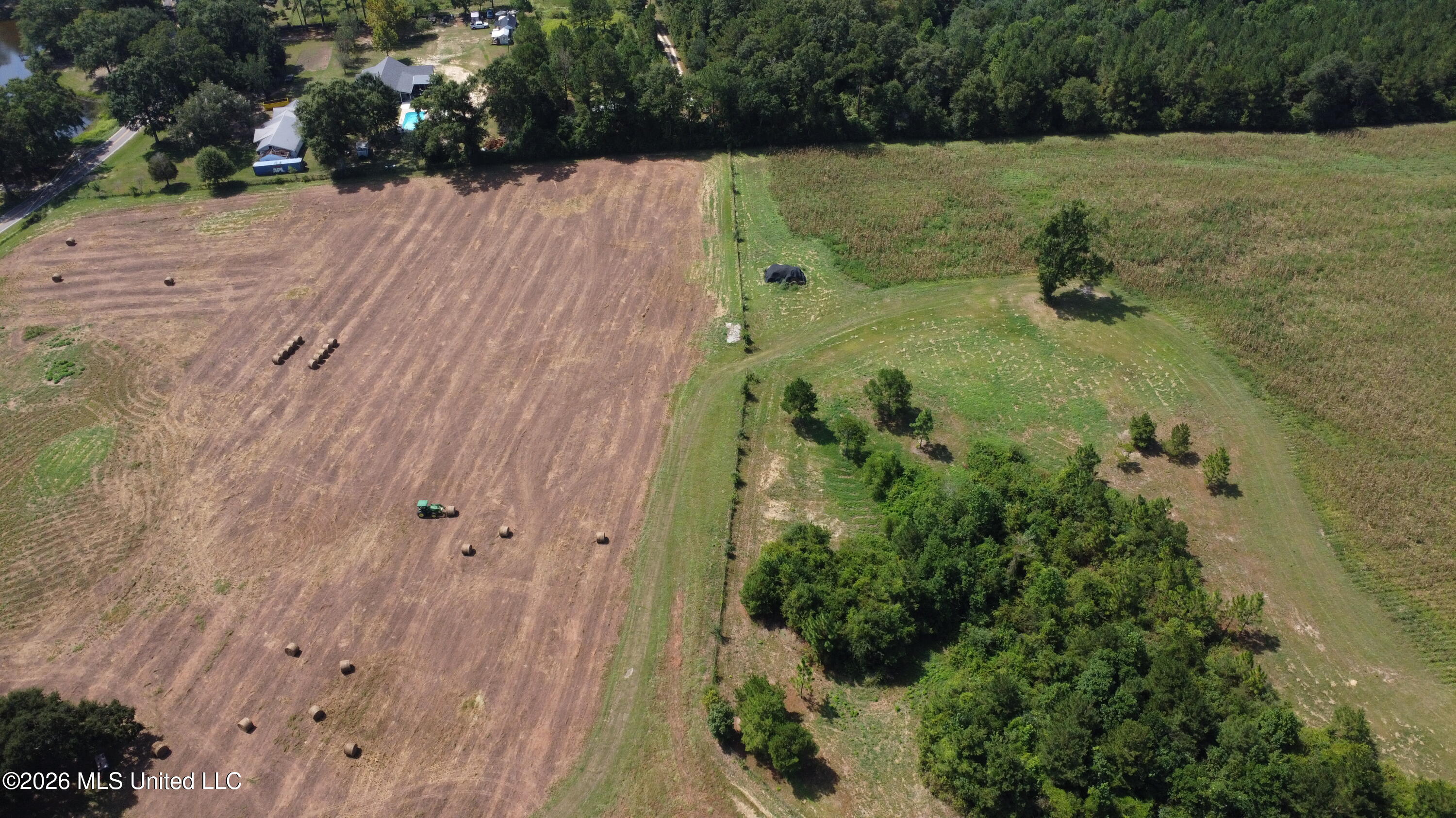 64.9 Acres Neely Avera Road Property Photo 9
