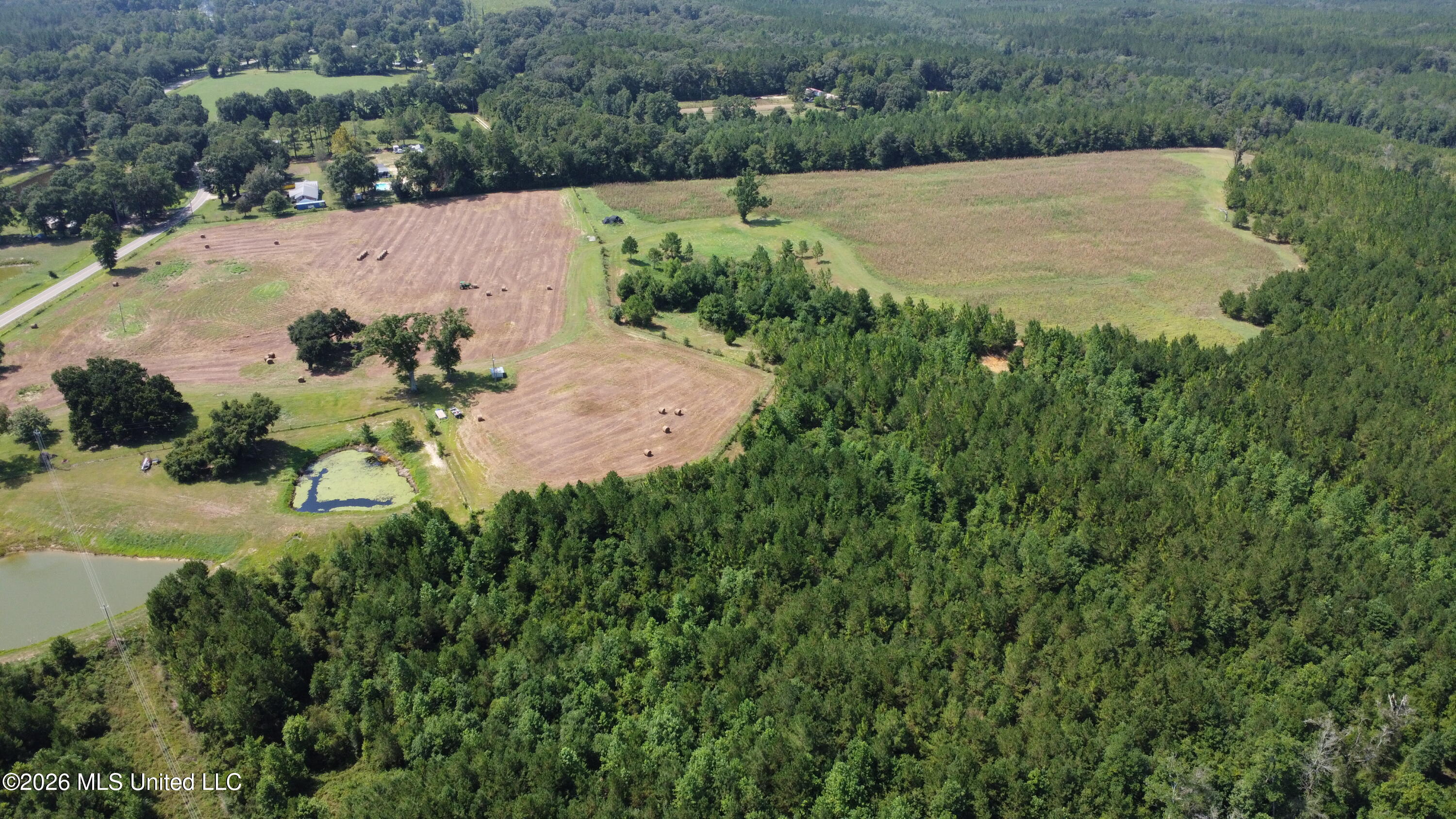 64.9 Acres Neely Avera Road Property Photo 10