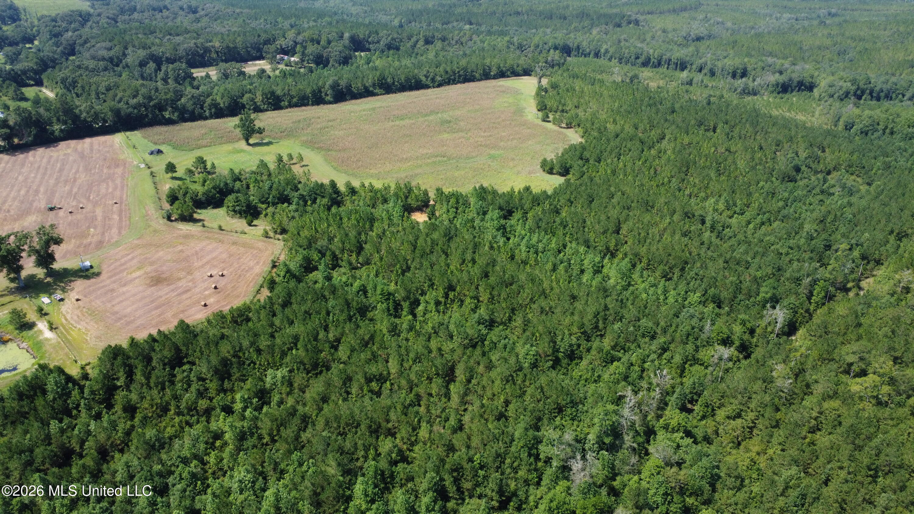 64.9 Acres Neely Avera Road Property Photo 11