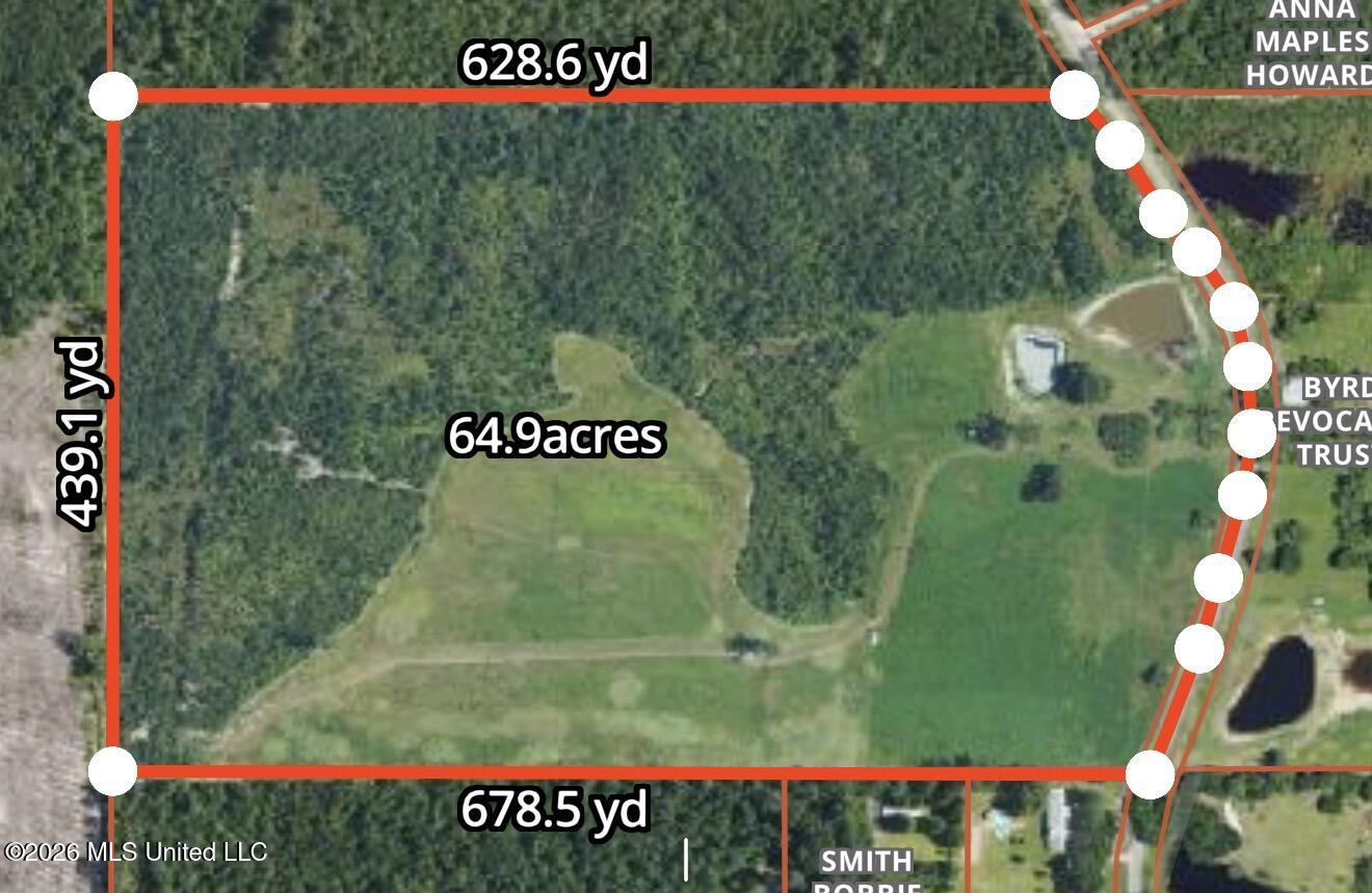 64.9 Acres Neely Avera Road Property Photo 12