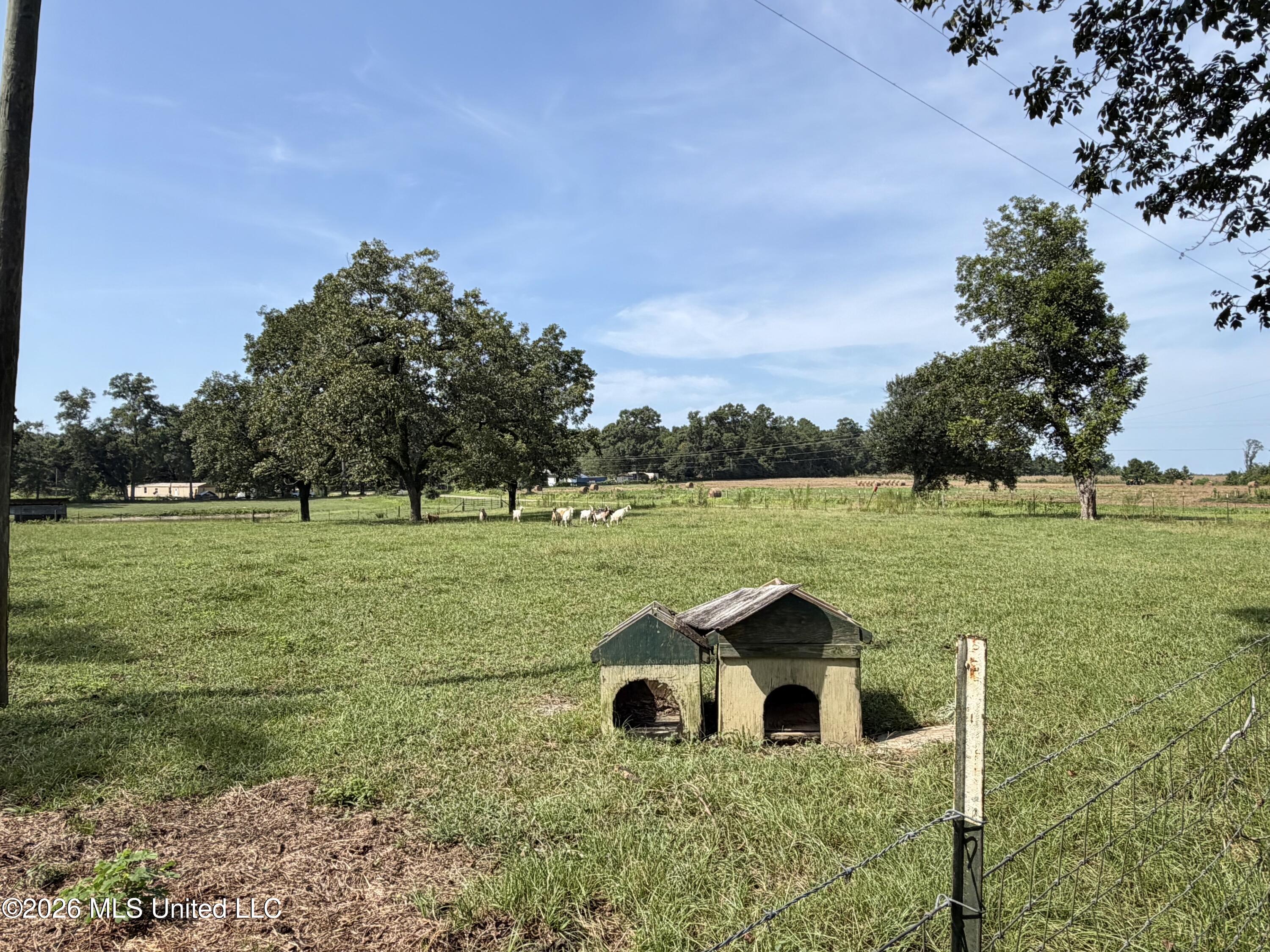 8488 Neely Avera Road Property Photo 39