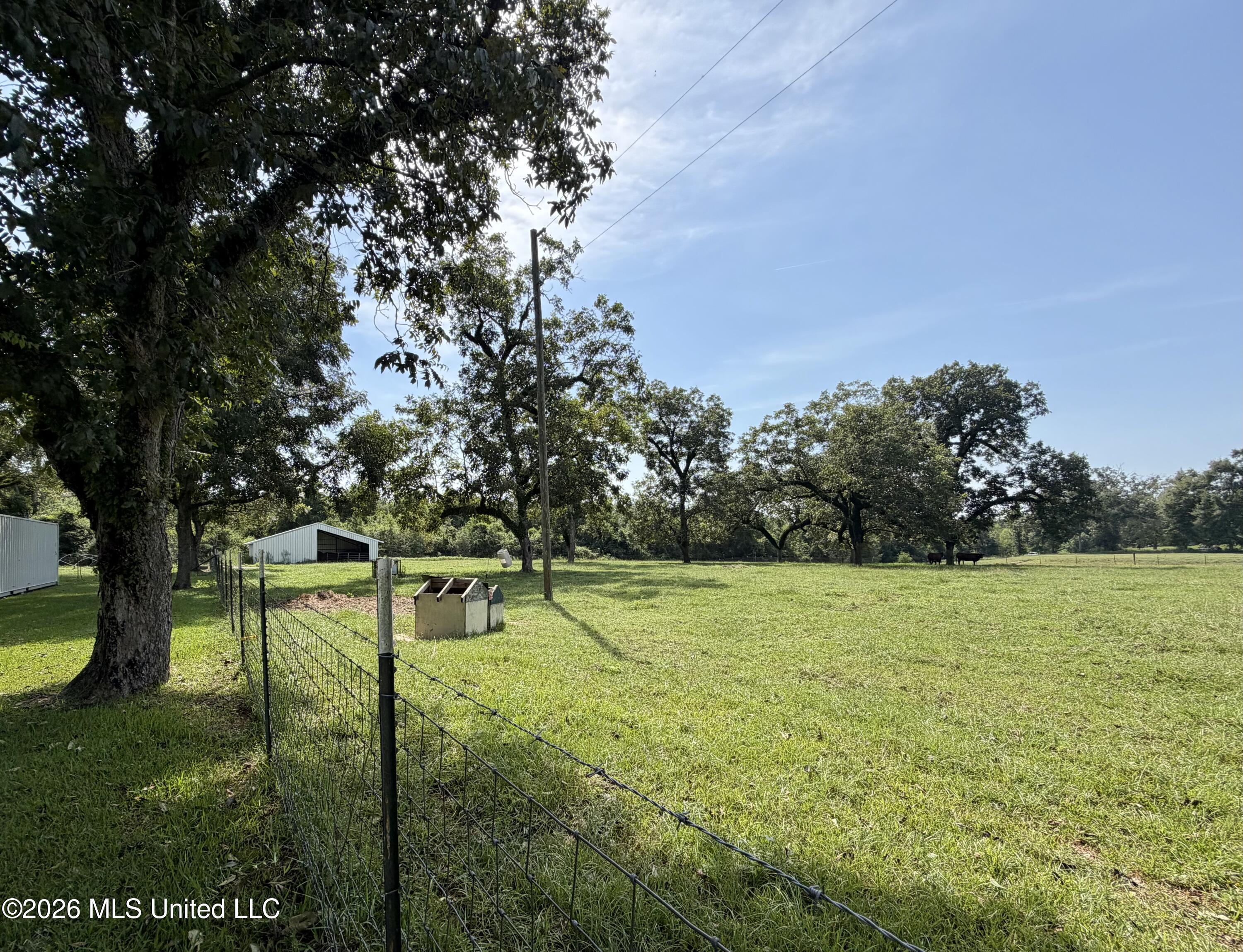 8488+13ac Neely Avera Road Property Photo 35