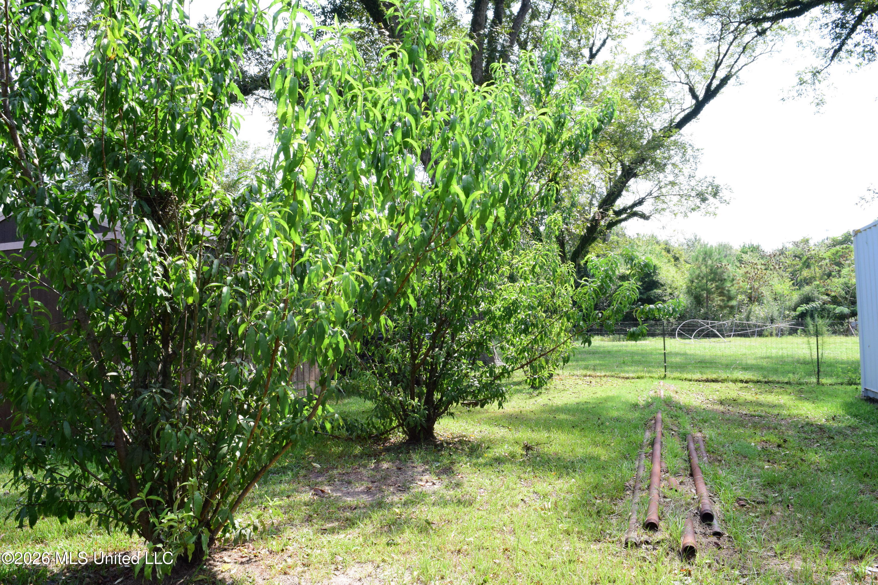 8488+13ac Neely Avera Road Property Photo 40