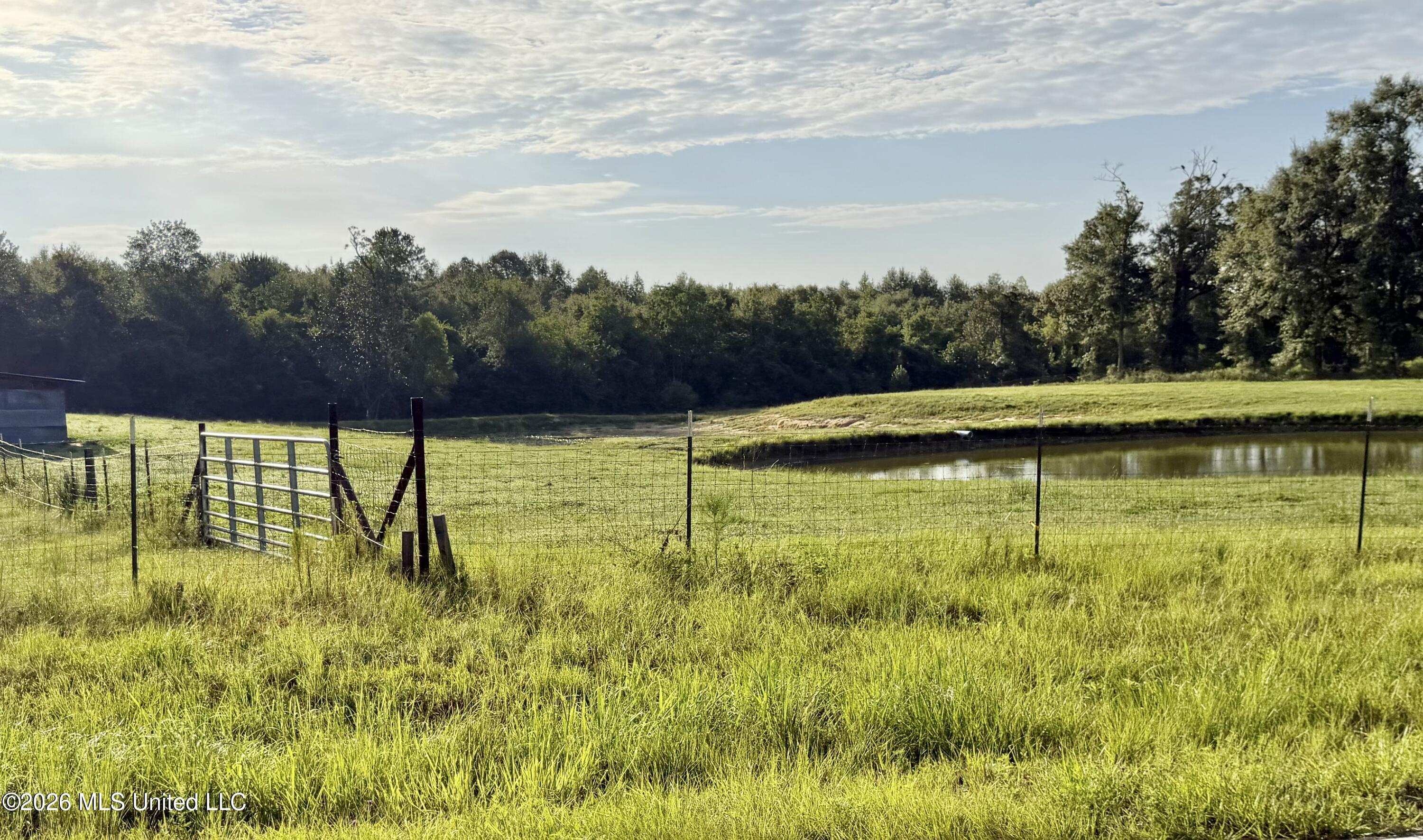 8488+13ac Neely Avera Road Property Photo 42