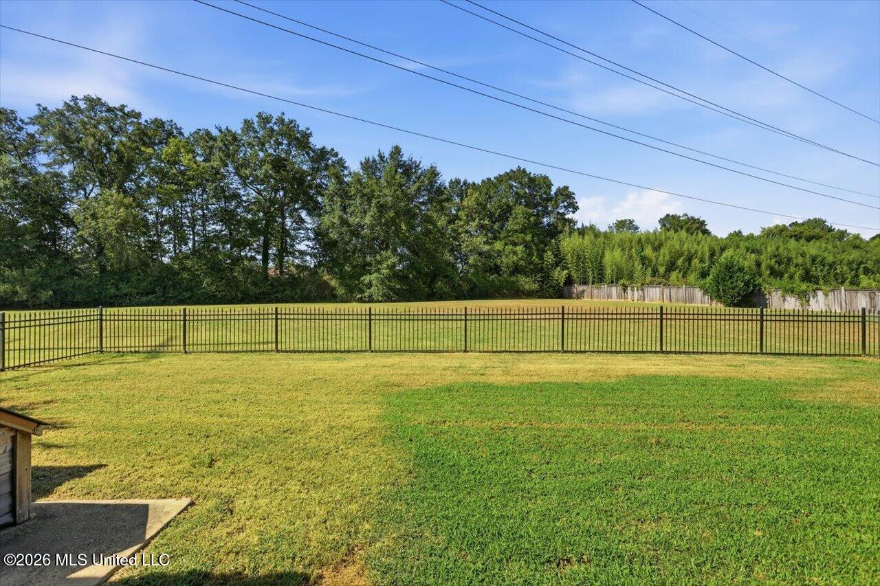 125 Bradshaw Crossing Property Photo 38