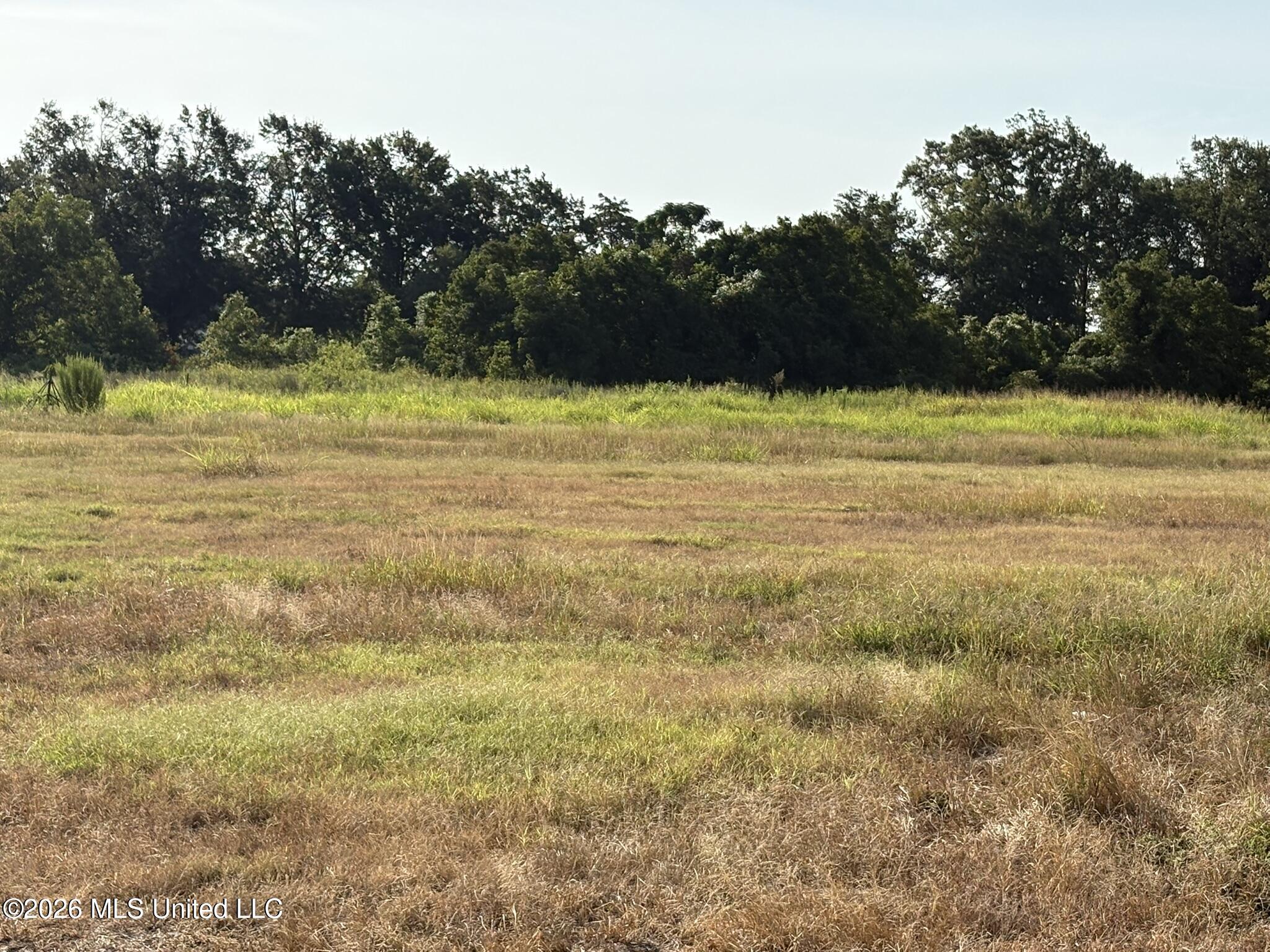 701 Memorial Drive Property Photo 5