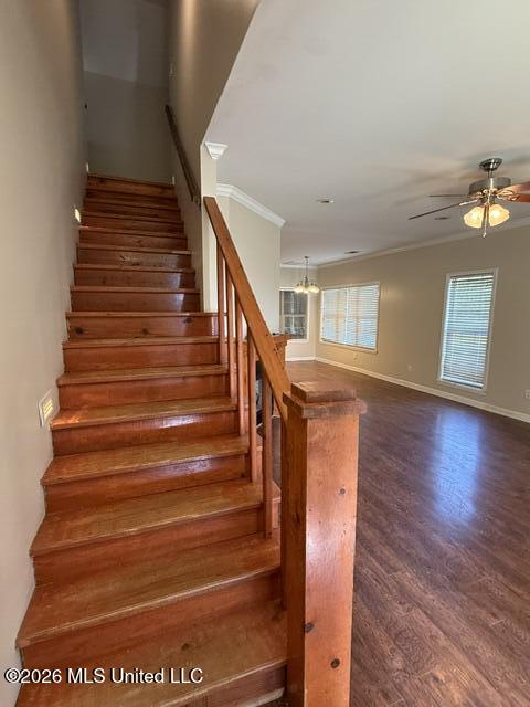 67 Dudley Place Property Photo 12
