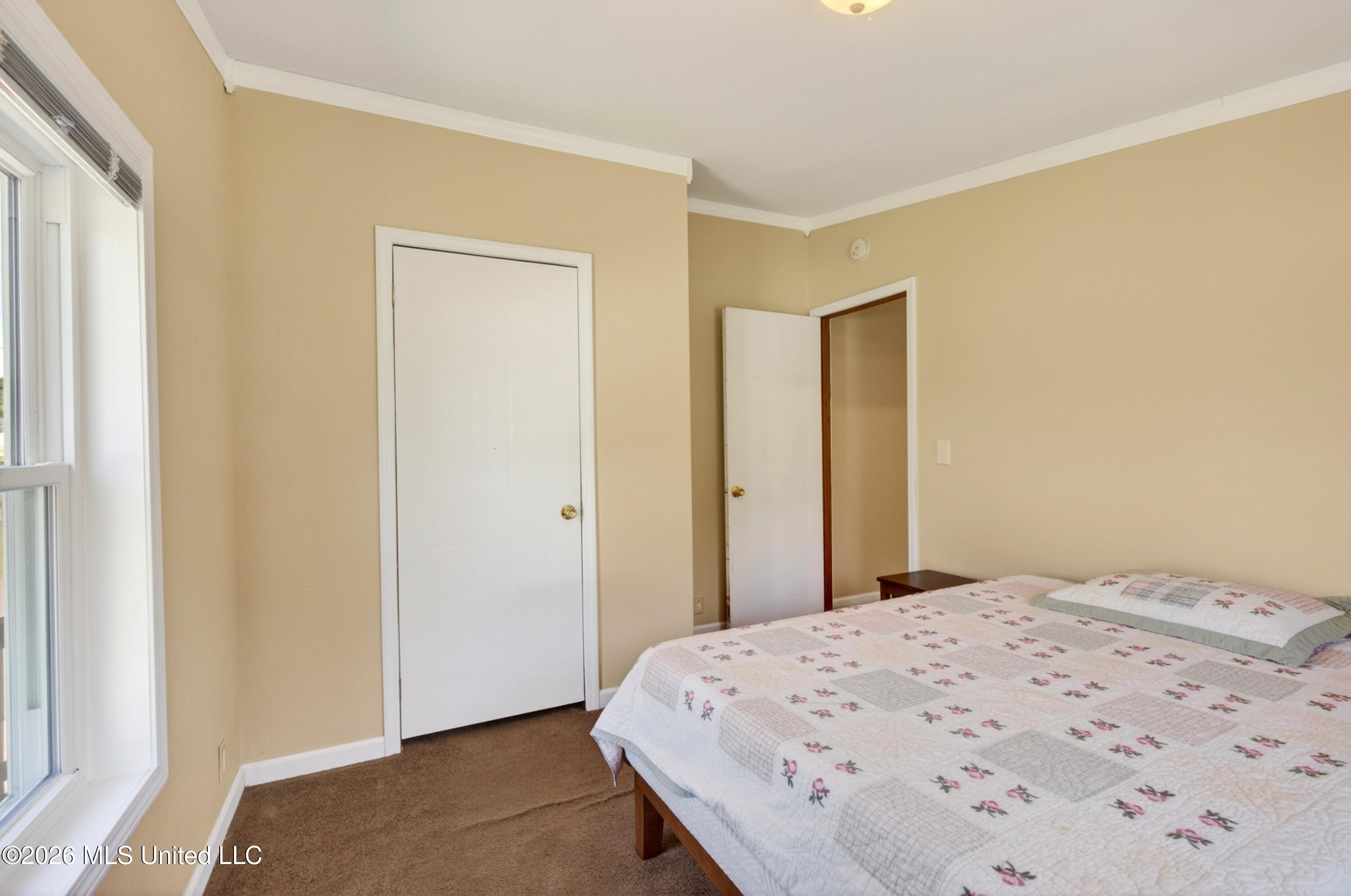 19561 Lennis Cuevas Road Property Photo 37