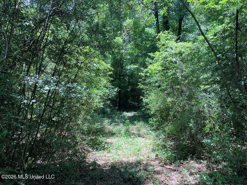 Ms-48 Property Photo 1