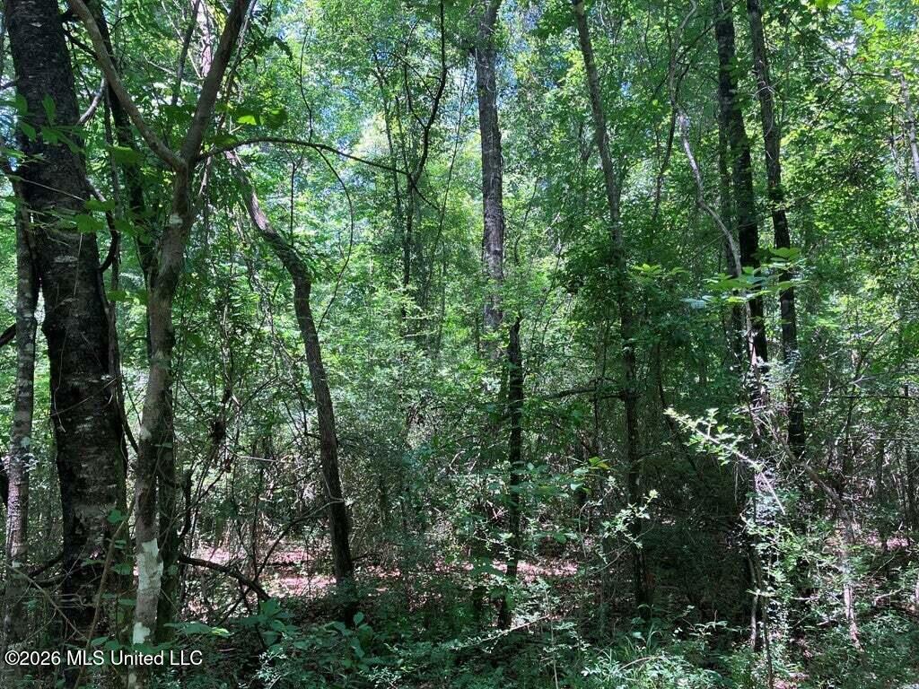 Ms-48 Property Photo 2