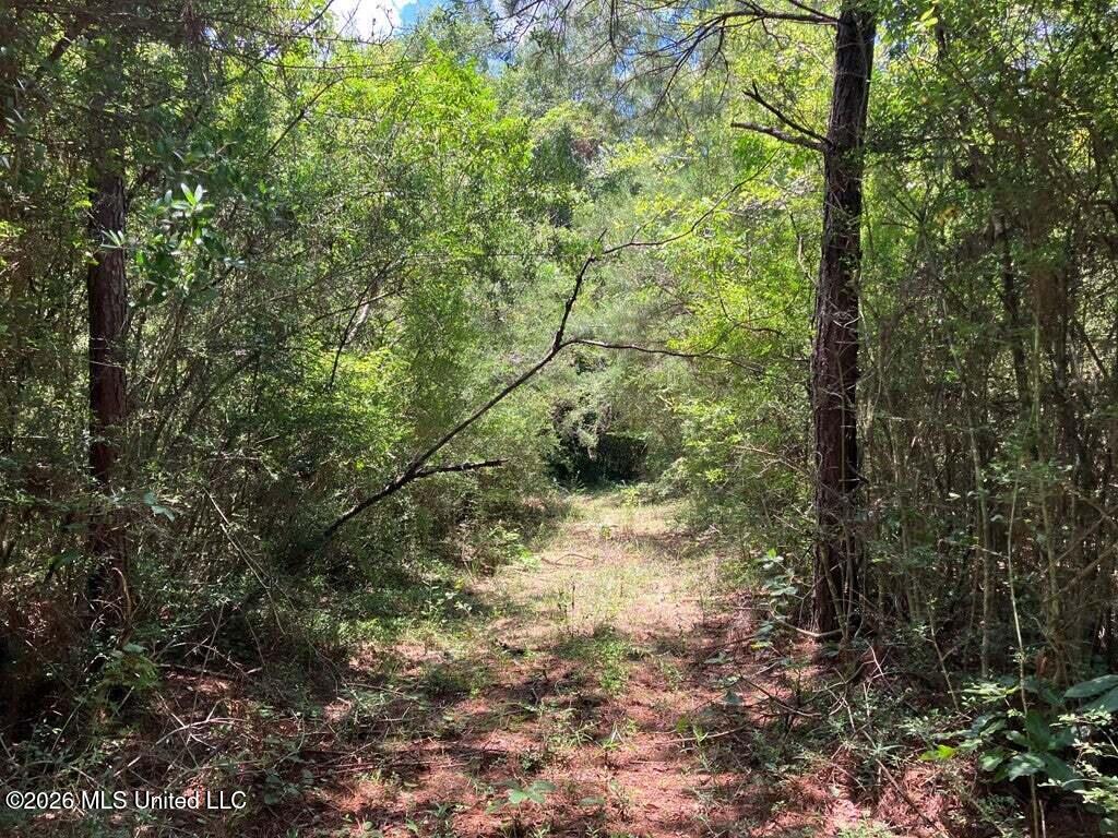 Ms-48 Property Photo 4