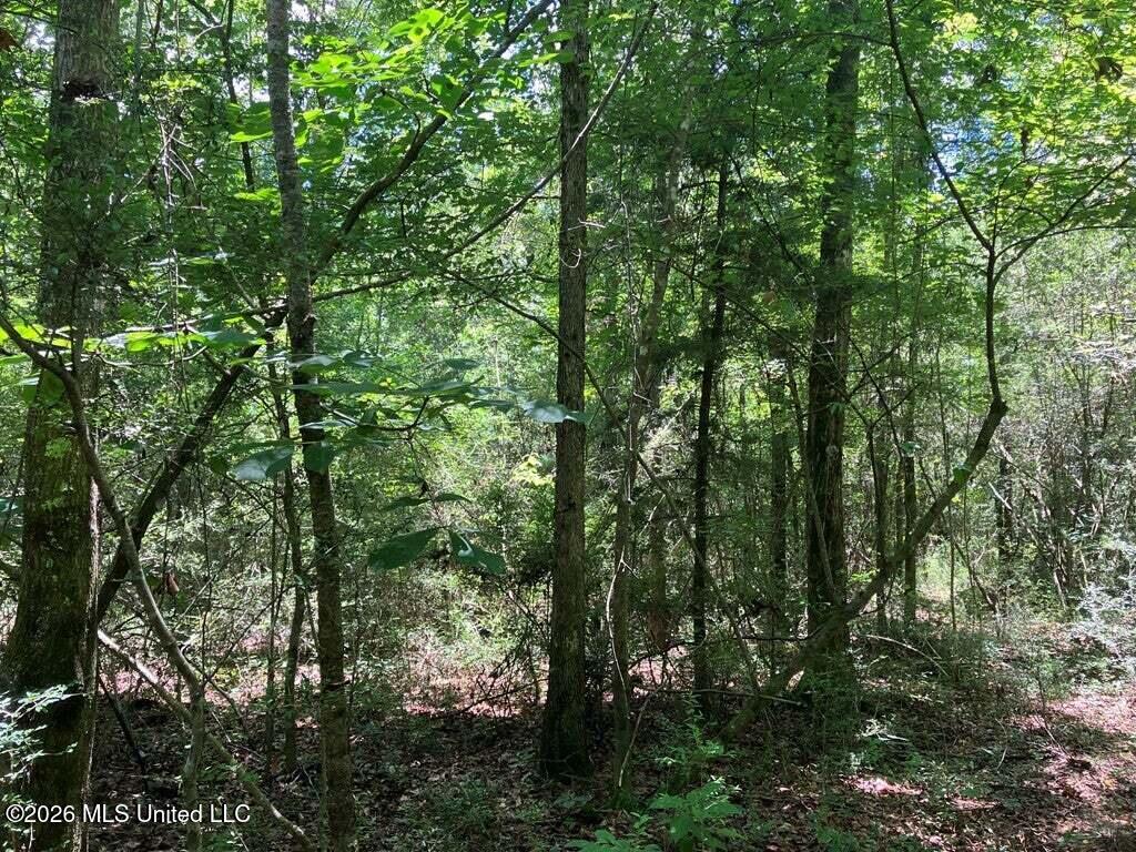 Ms-48 Property Photo 5