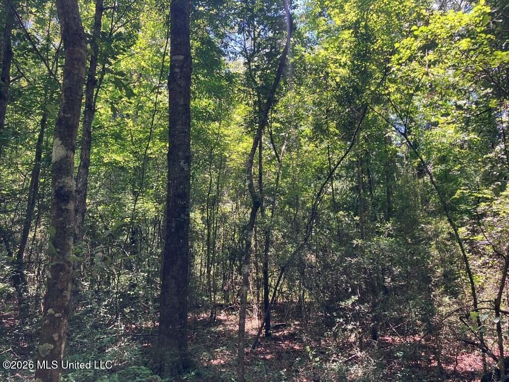Ms-48 Property Photo 6