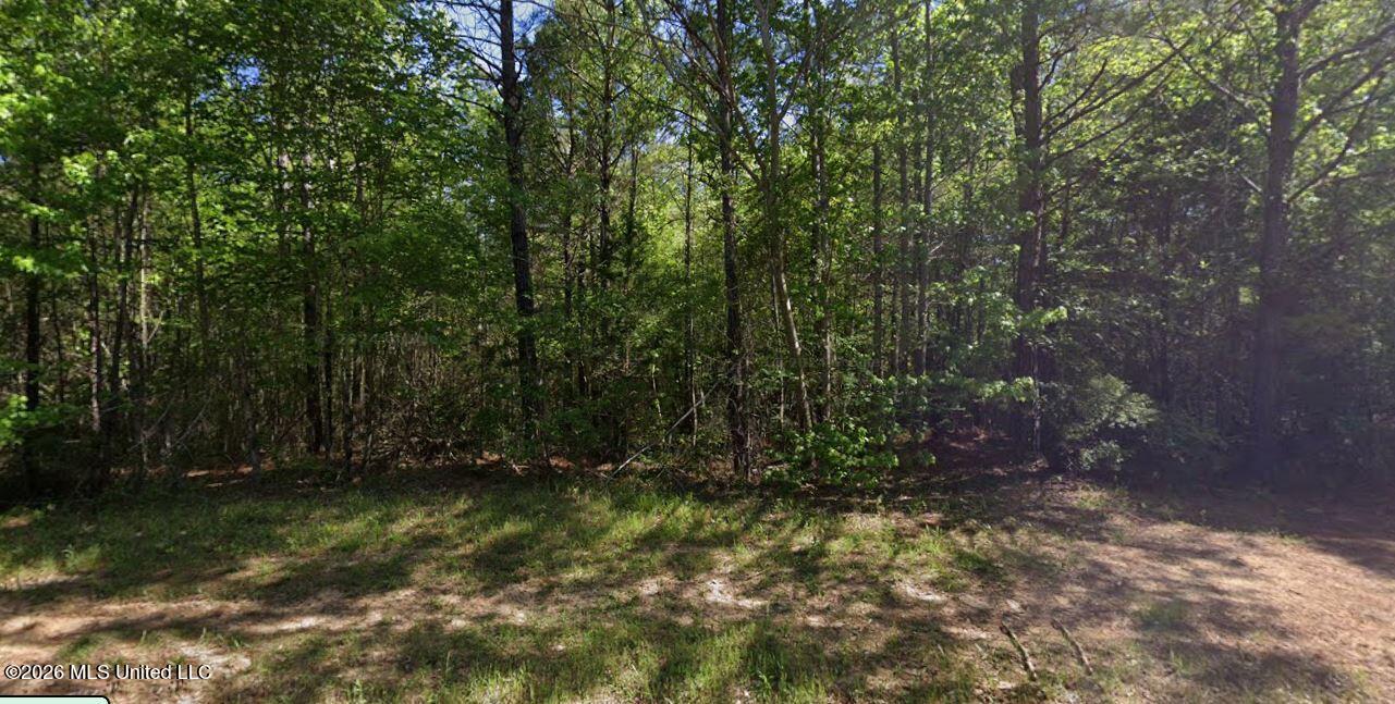 O Leary Road Property Photo 2