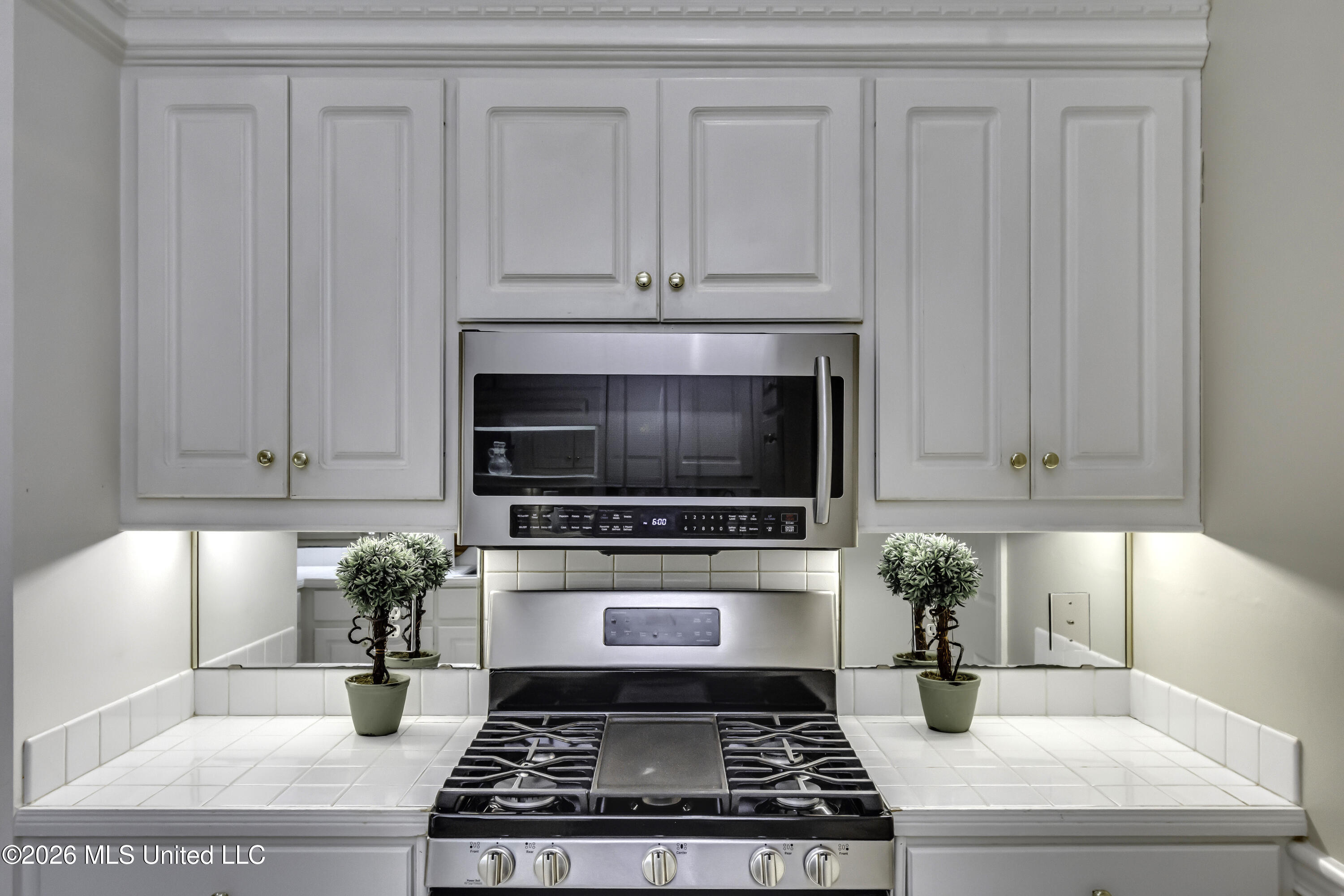 101 Kennesaw Cove Property Photo 21