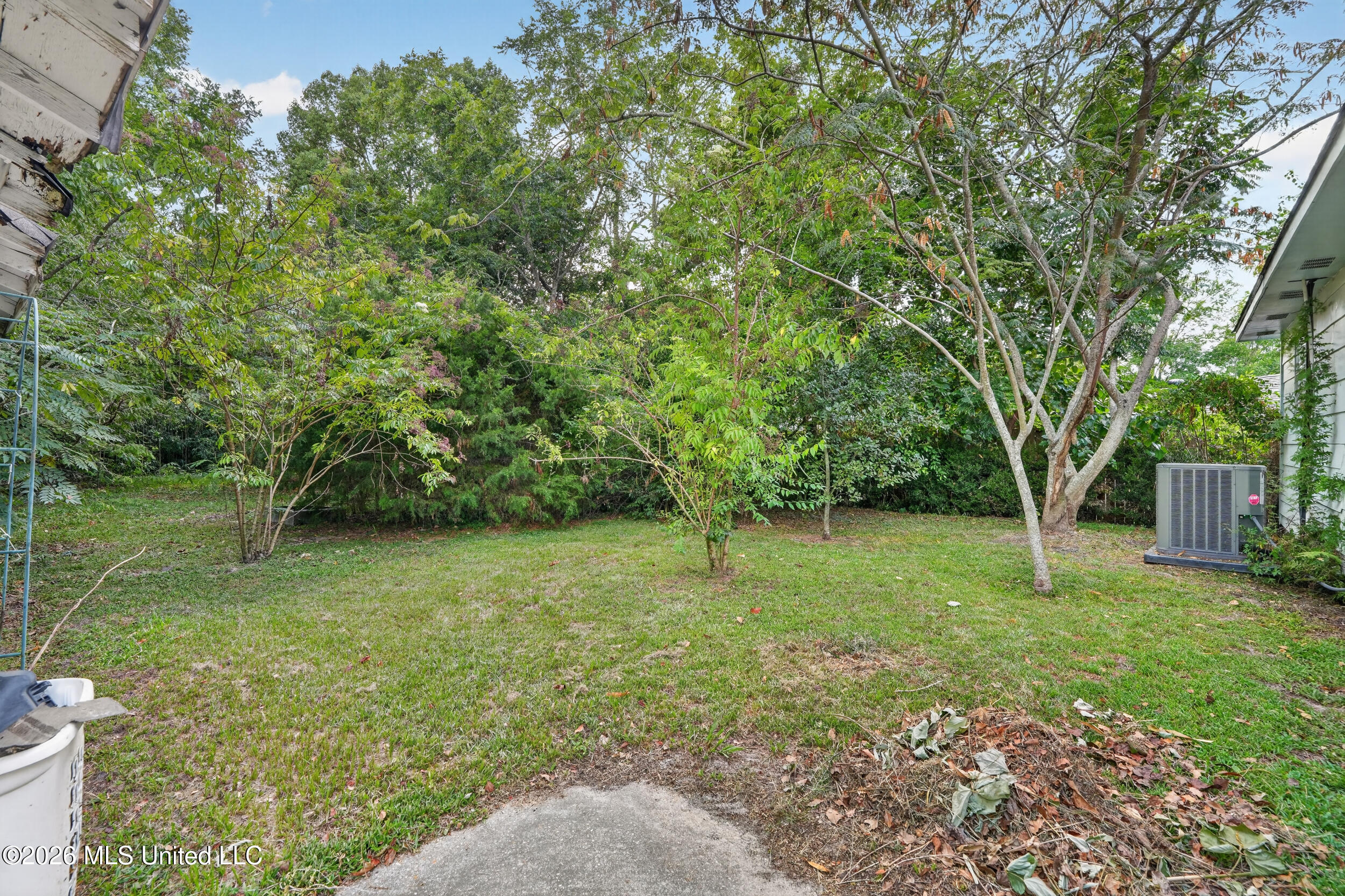 338 Carroll Avenue Property Photo 30