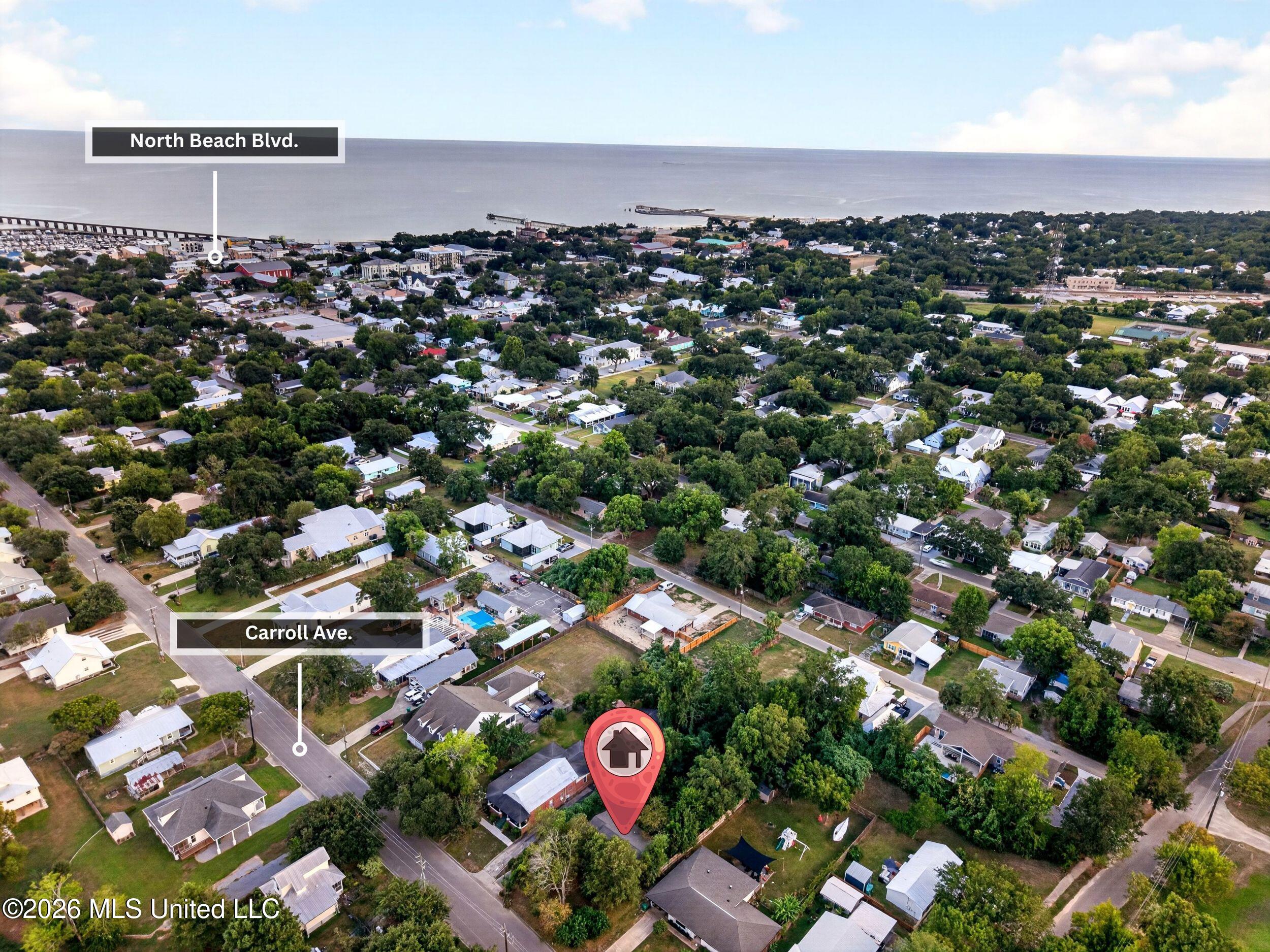 338 Carroll Avenue Property Photo 39