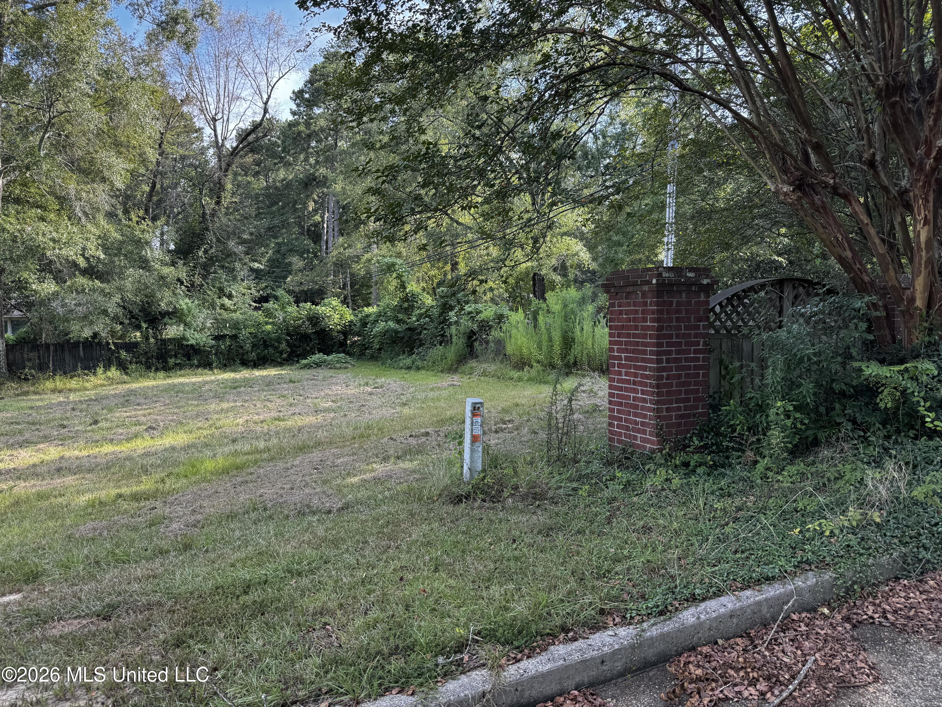 Lot 1 Briar Creek Circle Property Photo 3