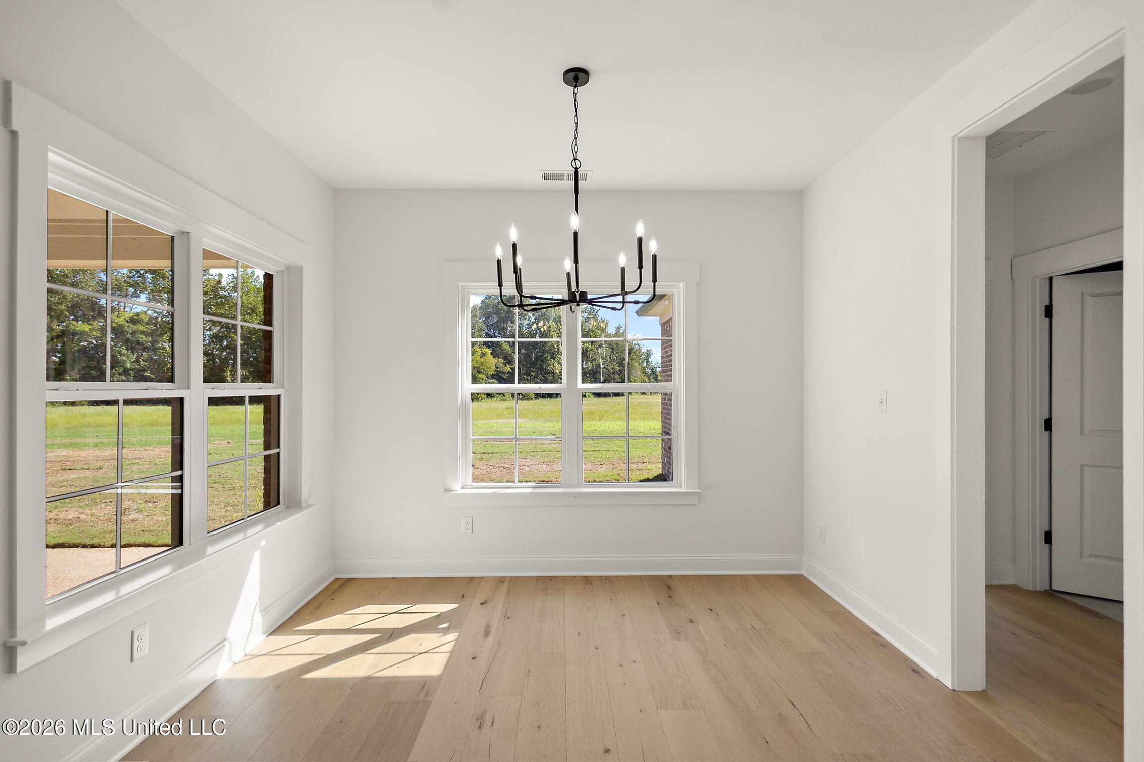 7607 Thomas Riley Street Property Photo 8