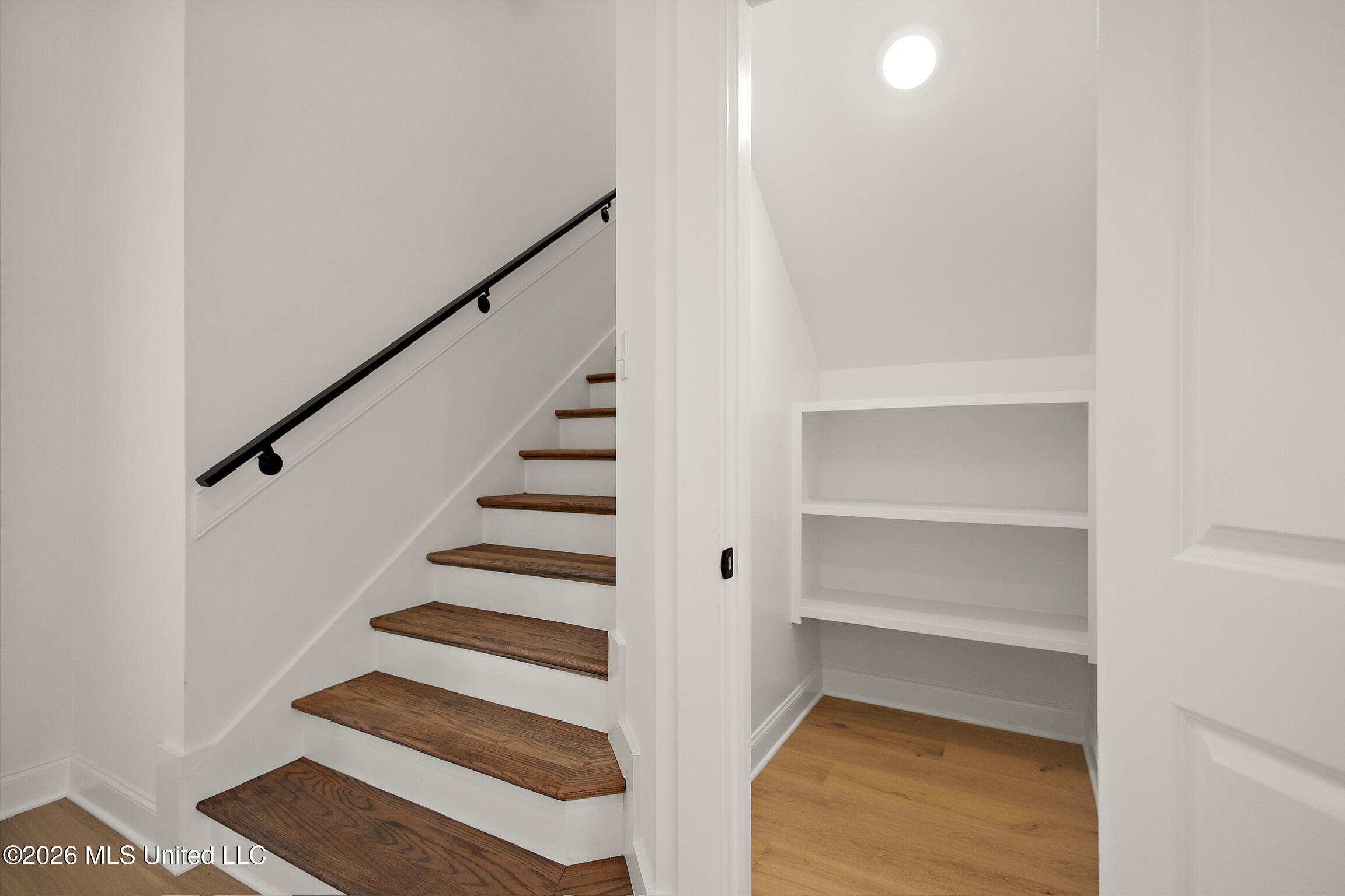 7607 Thomas Riley Street Property Photo 26