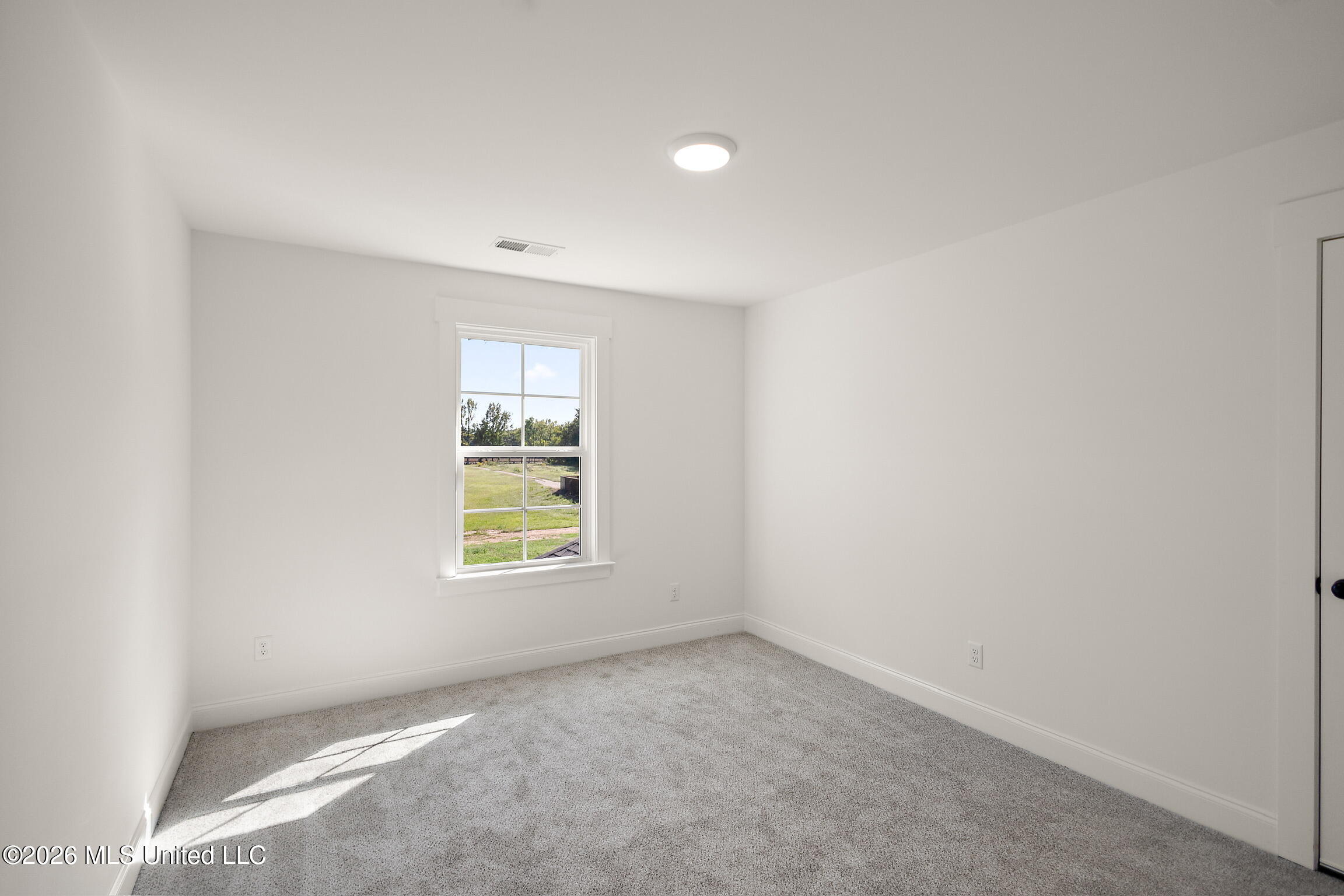 7607 Thomas Riley Street Property Photo 30