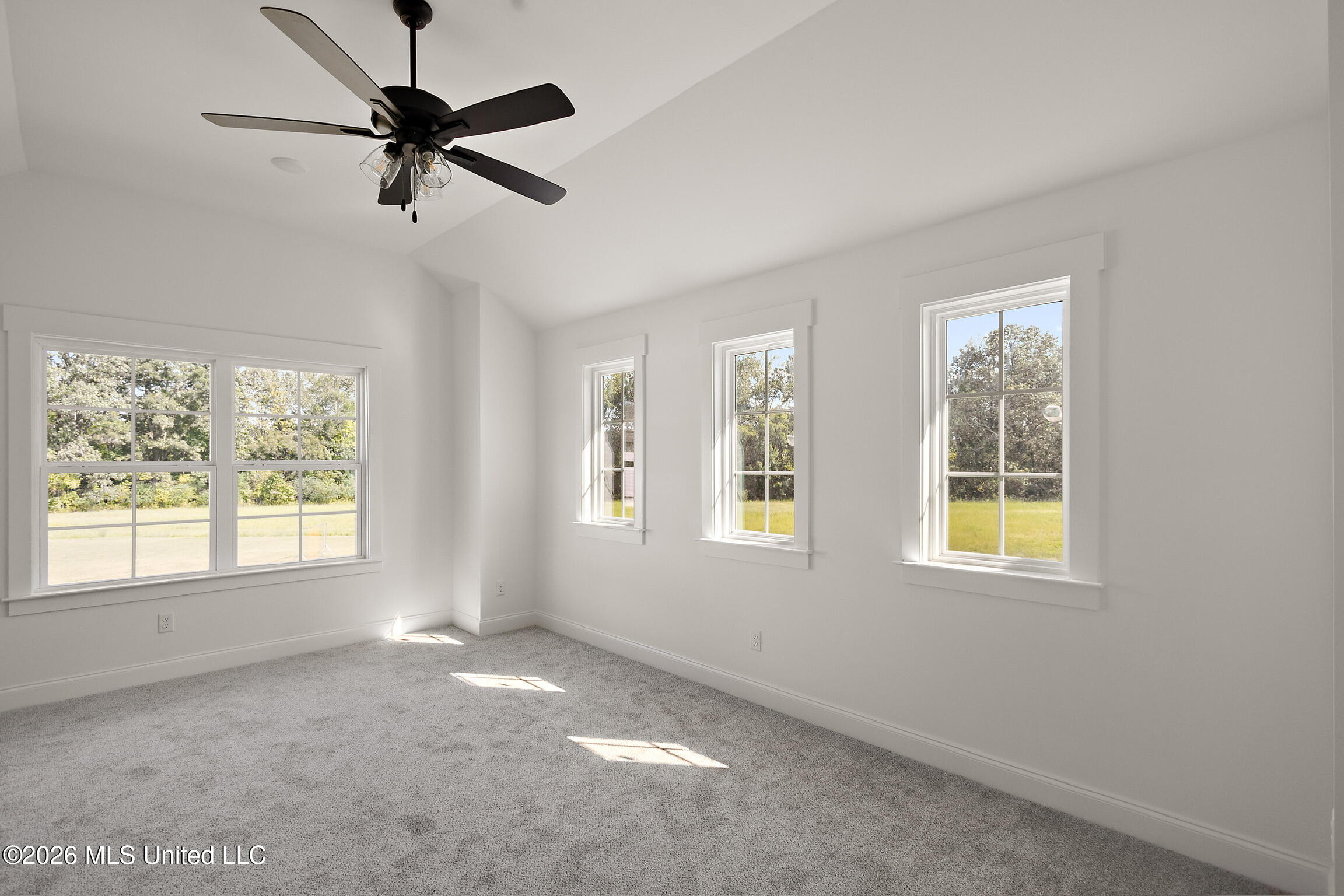 7607 Thomas Riley Street Property Photo 33
